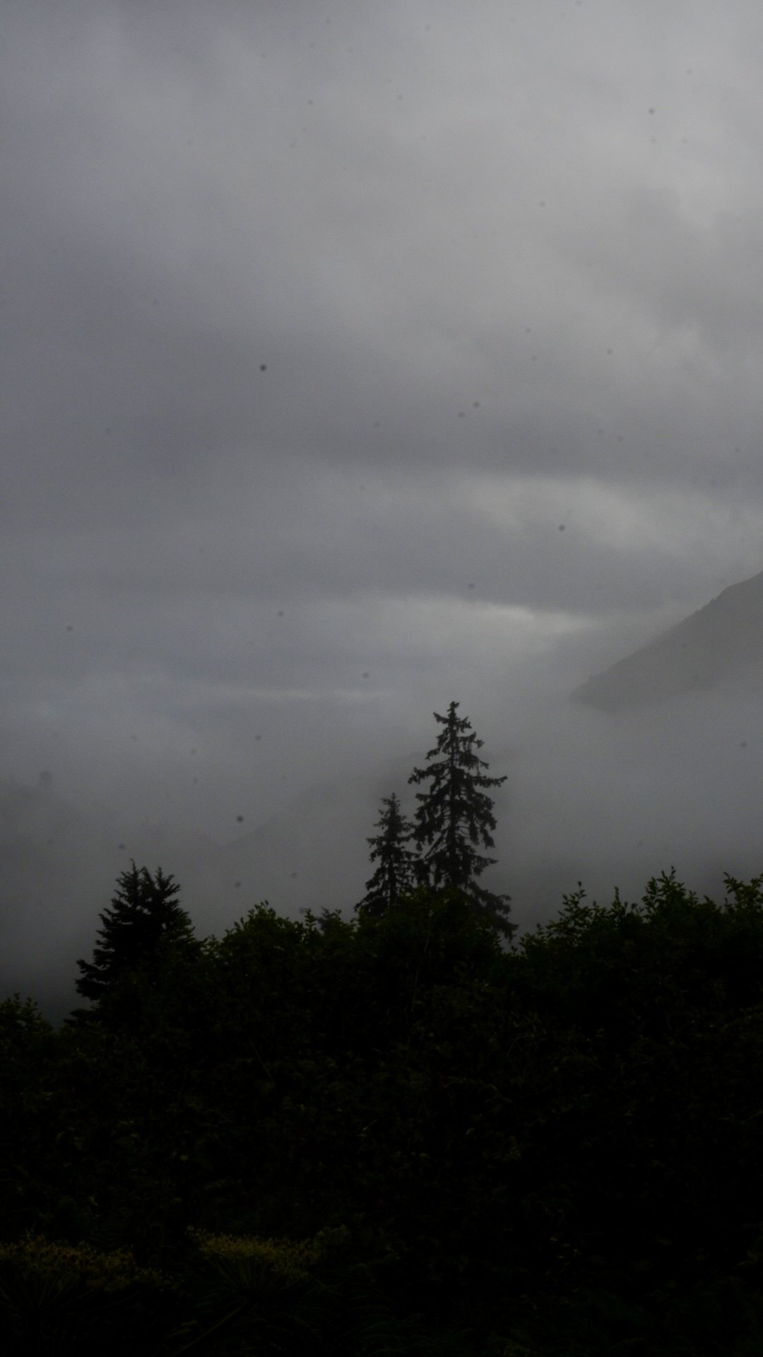 Flower Mountain, Haines, AK, 8.07.25