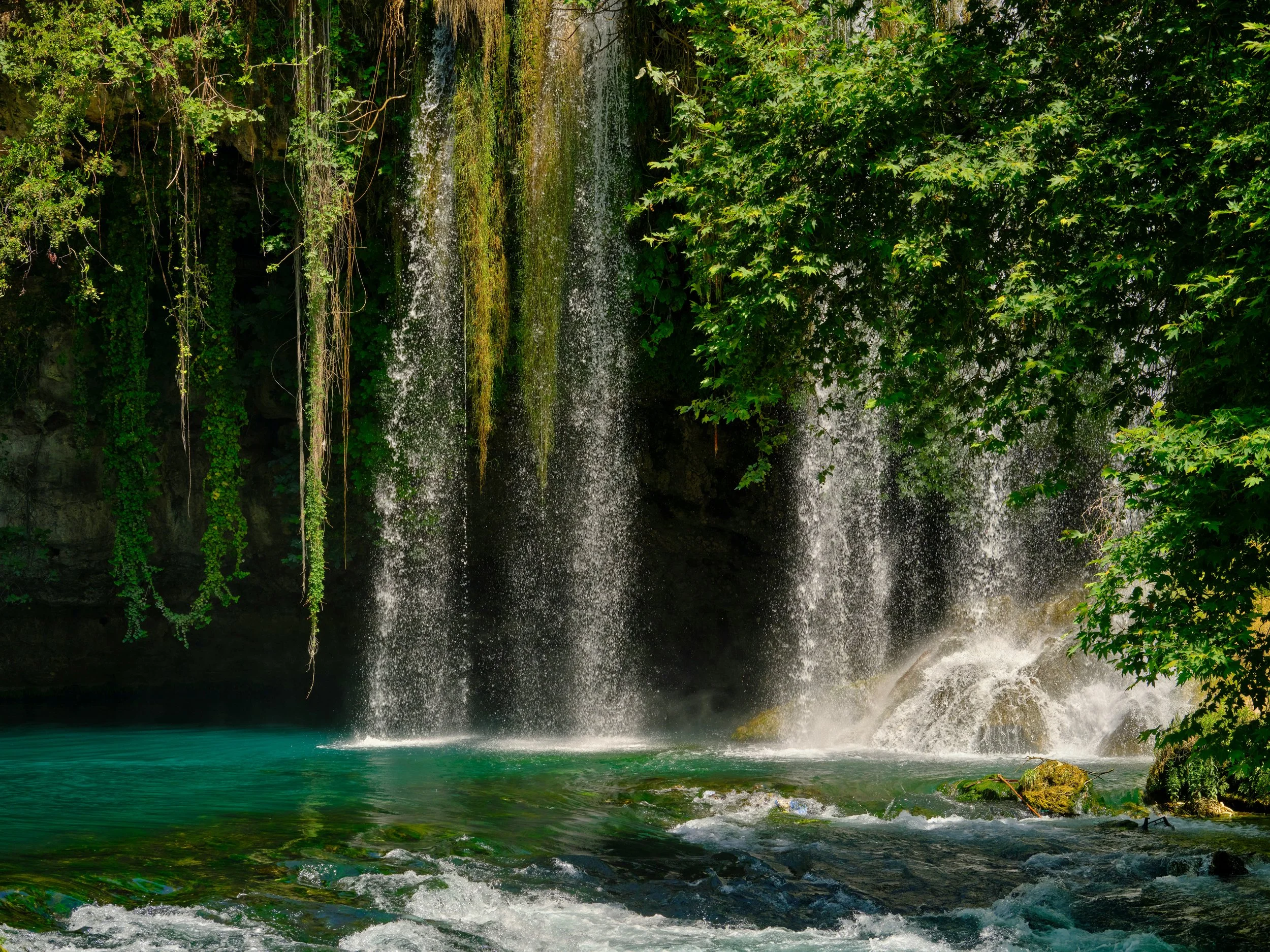 A scenic view of a waterfall cascading into a clear, turquoise pool surrounded by lush green trees and foliage.