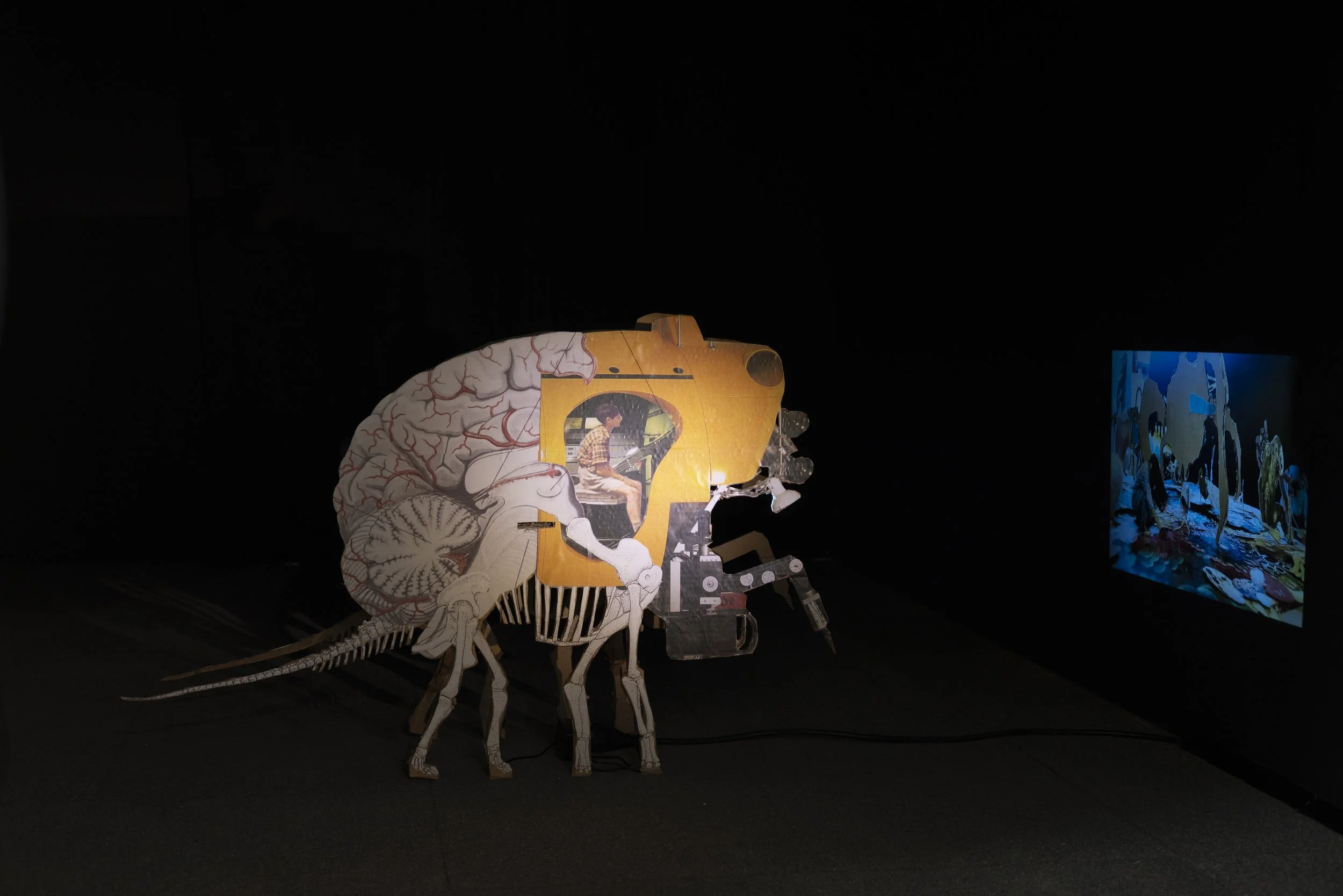 Fotodok_Håkon Holm-Olsen_Kunstgarasjen 2025_fs_web_Foto Monica Takvam-0229.jpg