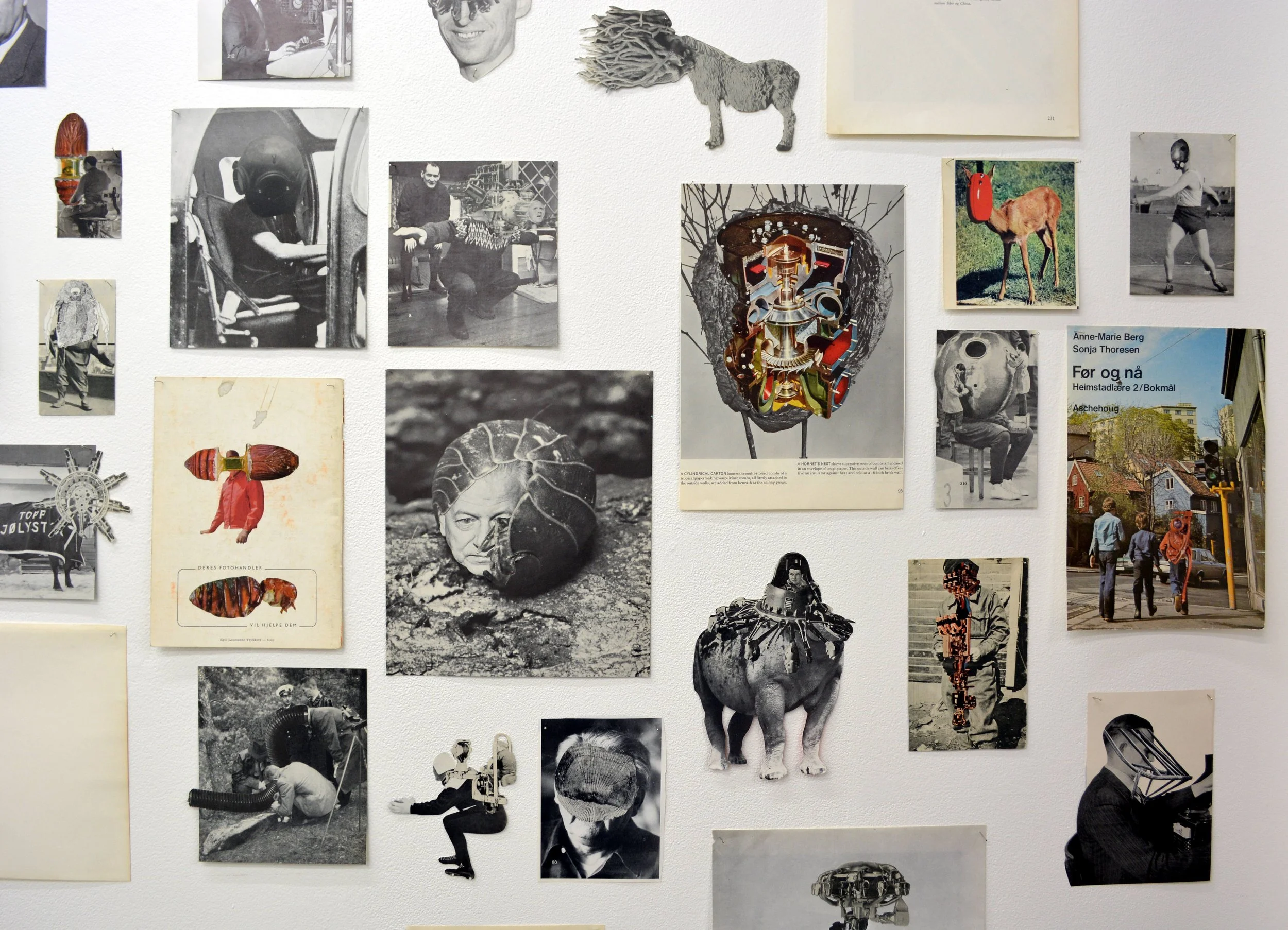 Full Flex detalj.JPG