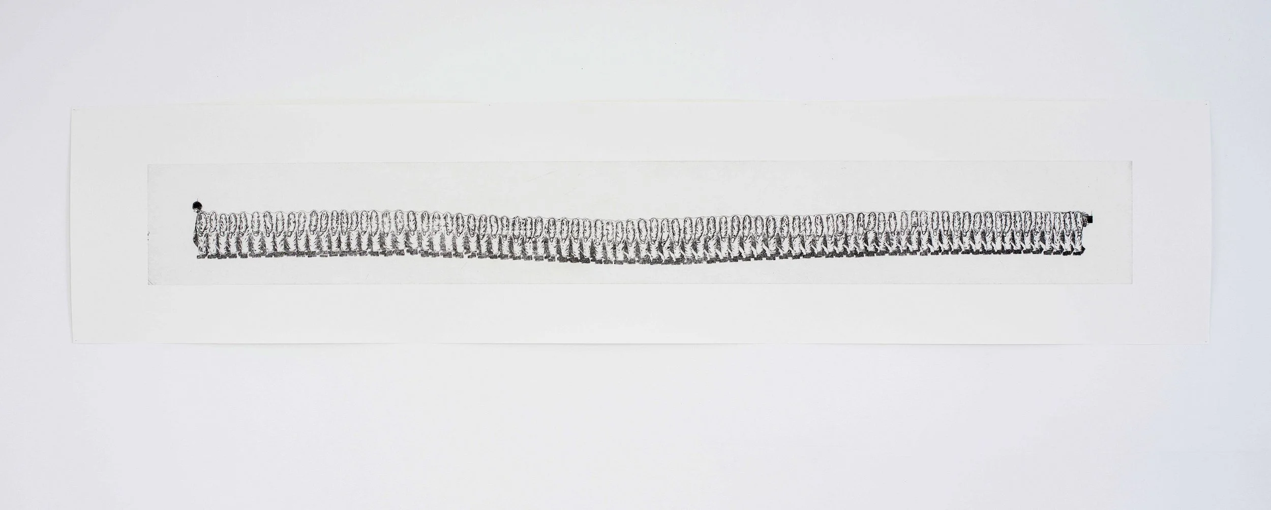 02 Skolopender oversikt v2.jpg