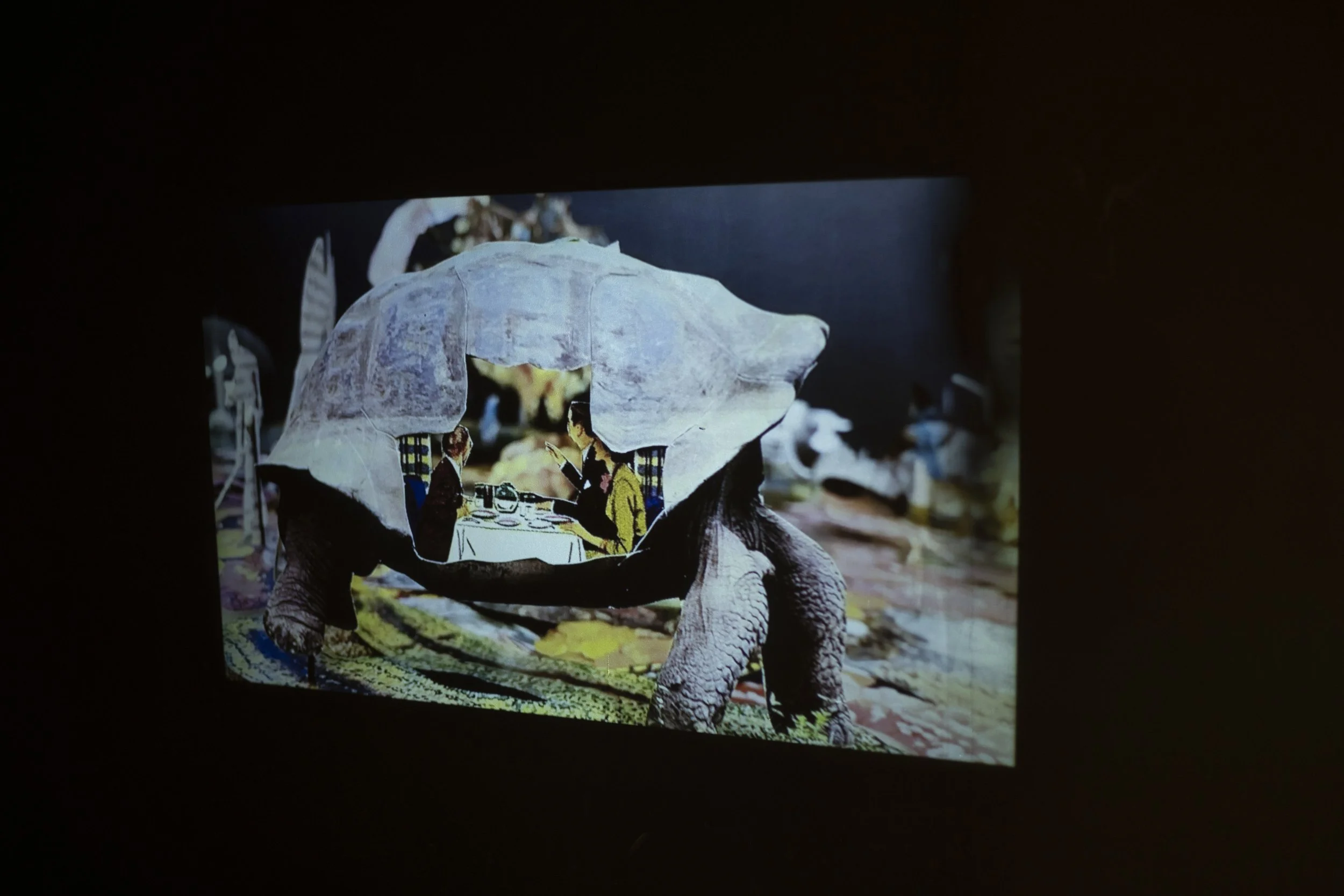 Fotodok_Håkon Holm-Olsen_Kunstgarasjen 2025_fs_web_Foto Monica Takvam-0156.jpg