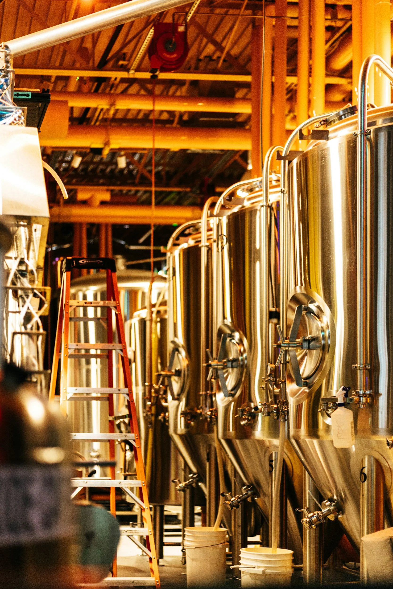 View of large, shiny metal fermentation tanks in a brewery, with an orange ladder and buckets in the foreground and industrial pipes and wooden beams overhead.
