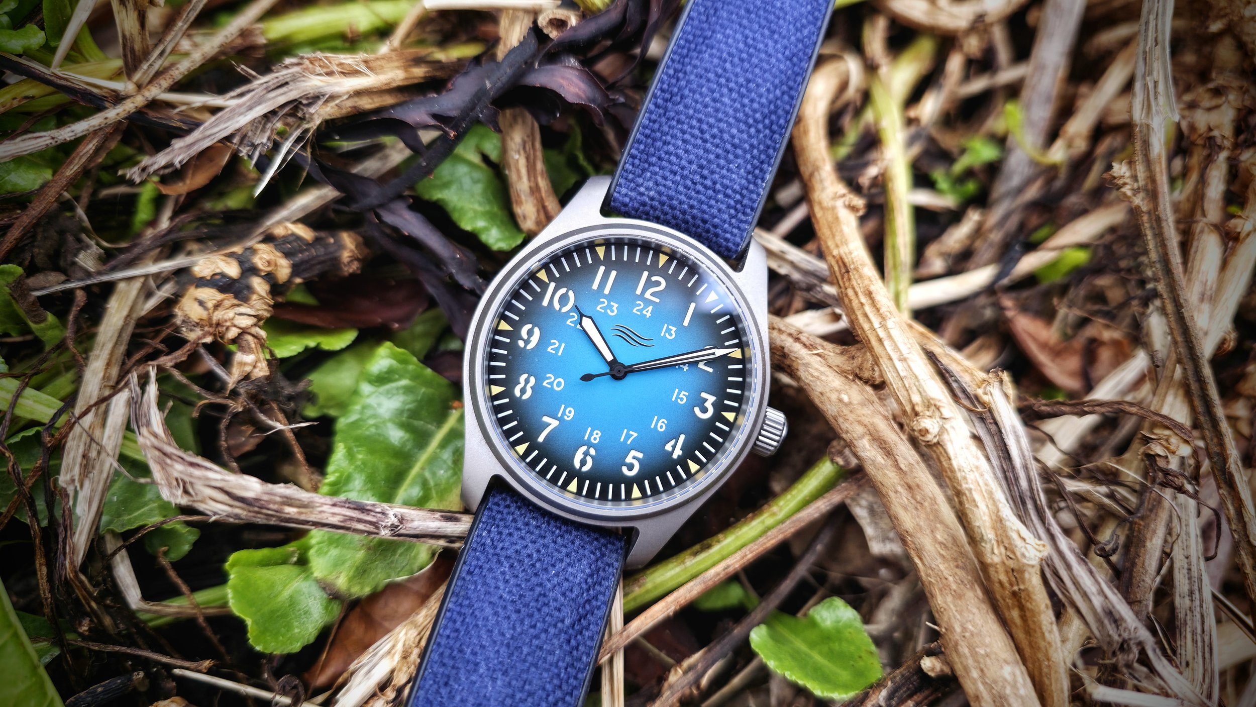 Bright blue Vanguard field watch on a cinematic bed of leaves and branches