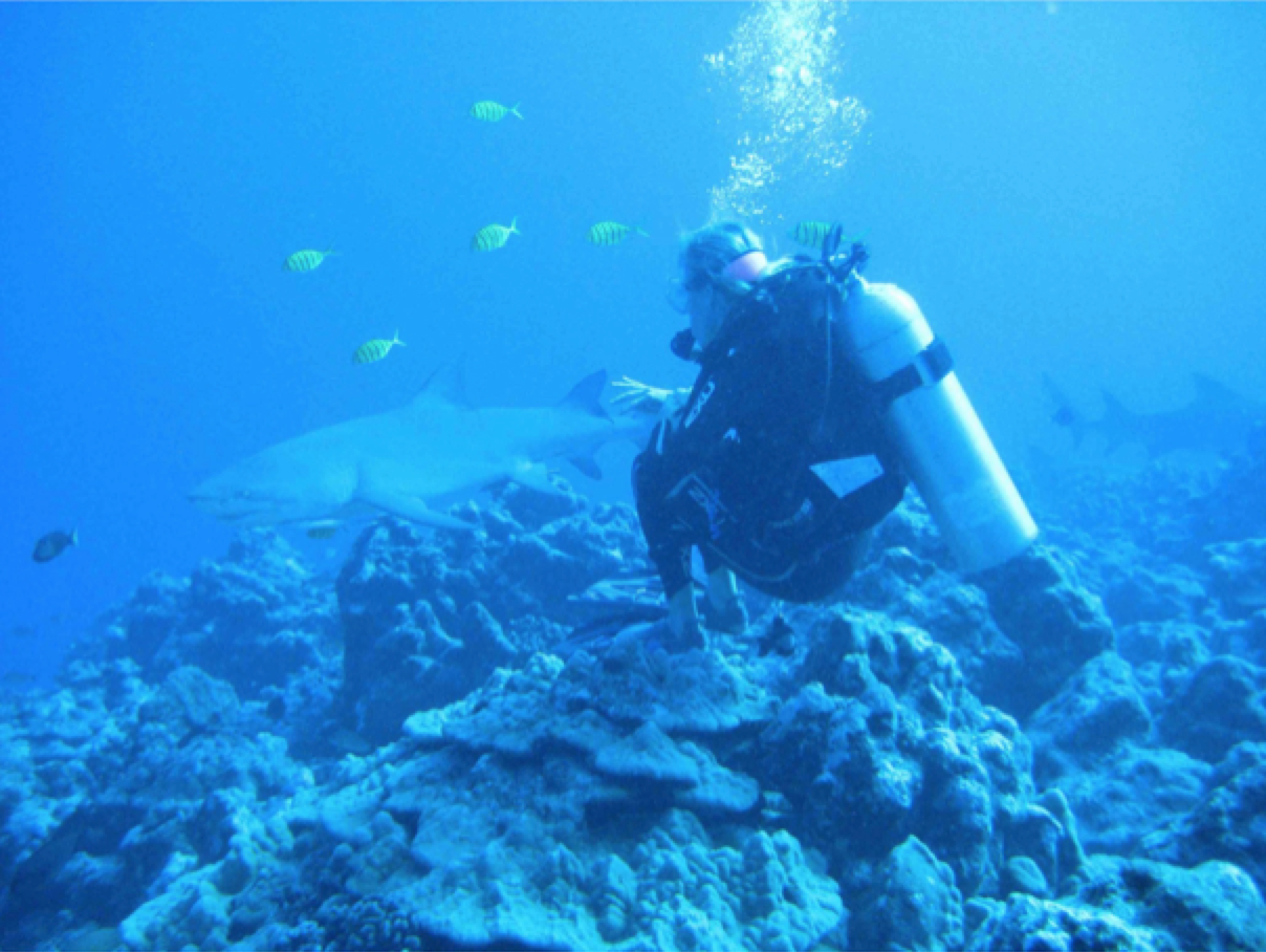 Te Mana Travels owner Jennifer Westfall scuba diving with the sharks (pictured).