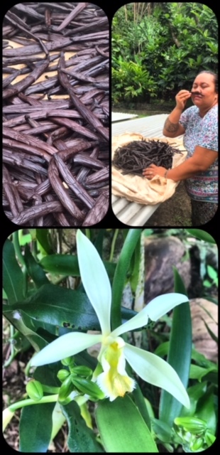 A Day in Taha’a : Vanilla Plantation, Pearl Farm and Island Bliss