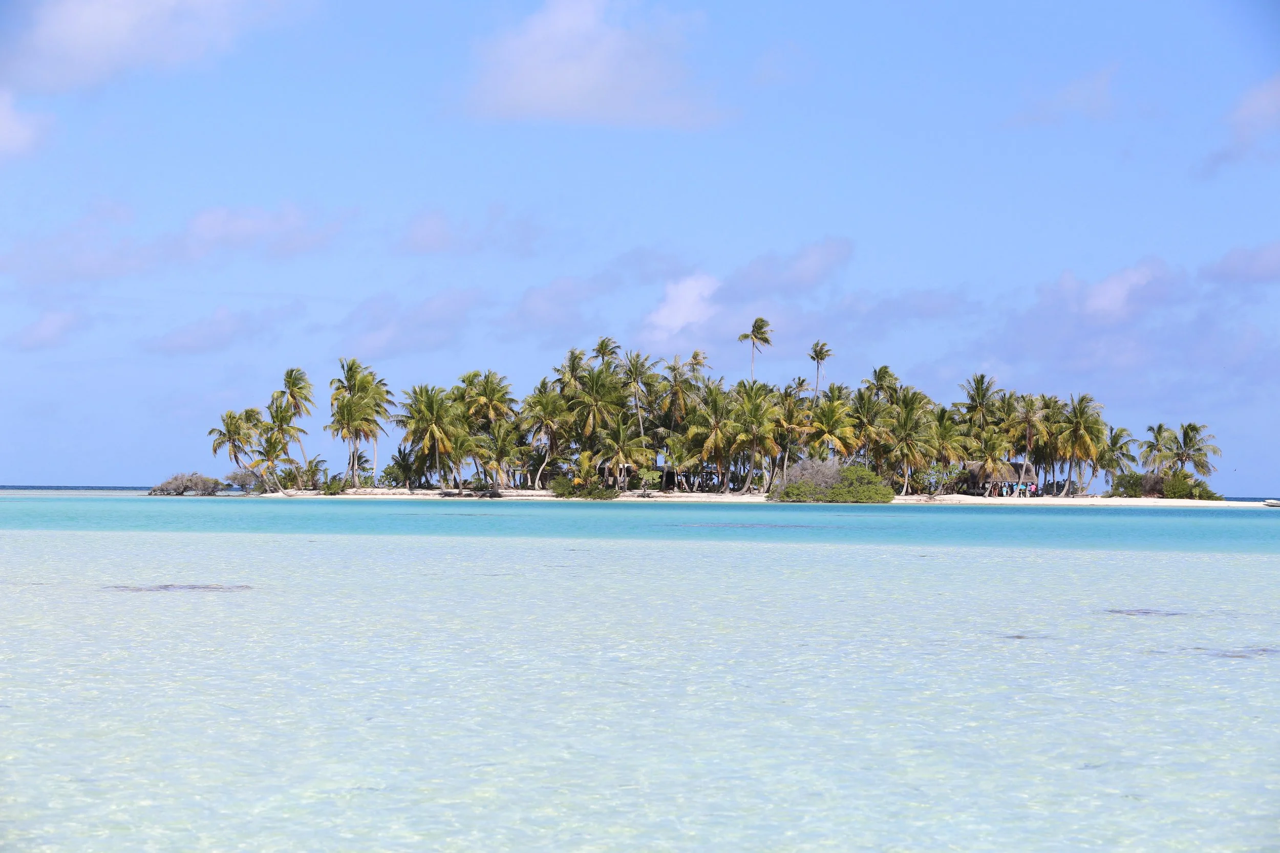 P2_08_RANGIROA_IMG_9840_©_Bernard Rubinstein.JPG