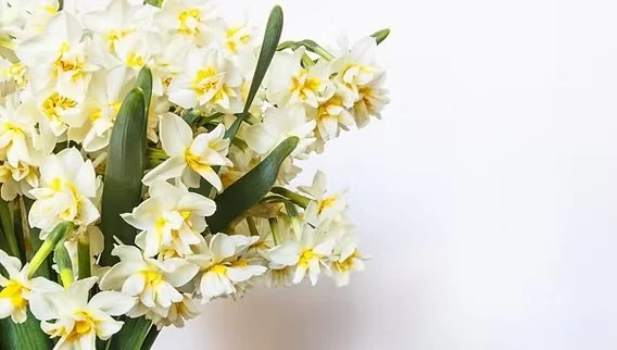 Spring Refresh 