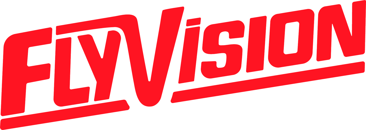Flyvision