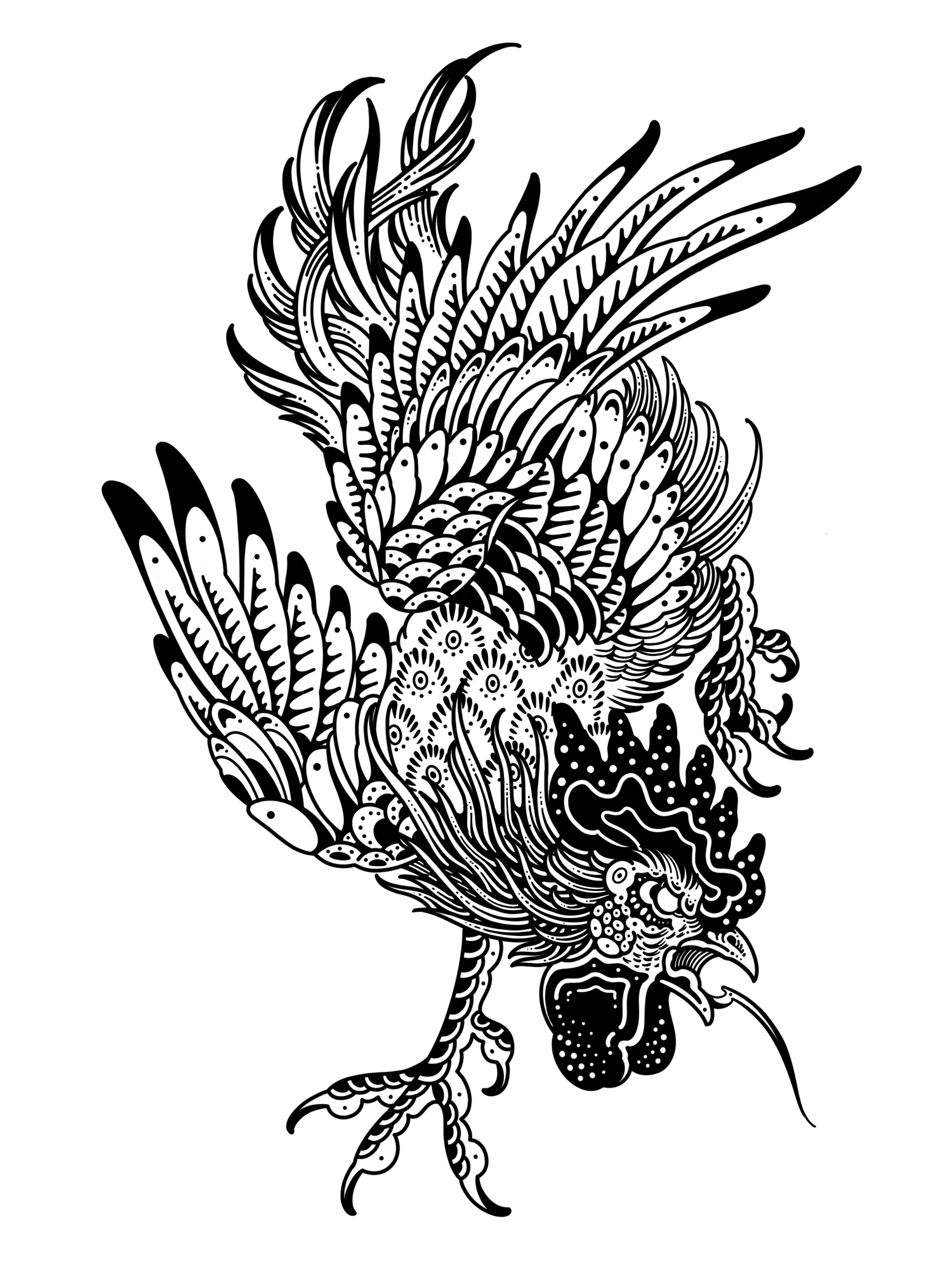 Schwarze und weiße Illustration eines Vogels mit großen, detaillierten Flügeln, Schnabel und krallenartigen Füßen.