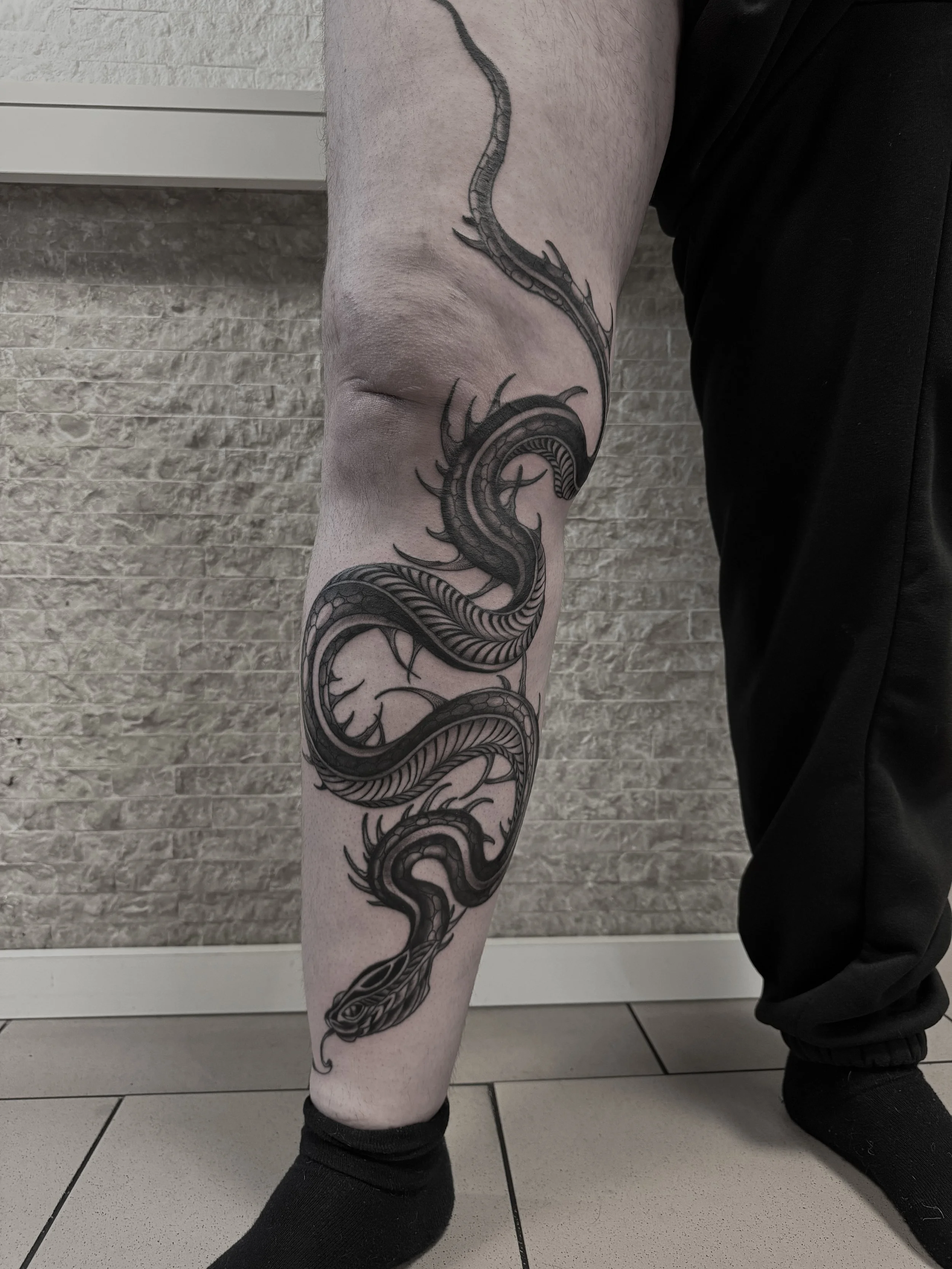 Schwarze Tätowierung eines Drachen auf dem hinteren Unterschenkel einer Person, die schwarze Socken trägt, vor einem grauen Fliesenwand und einer weißen Kellerwand.