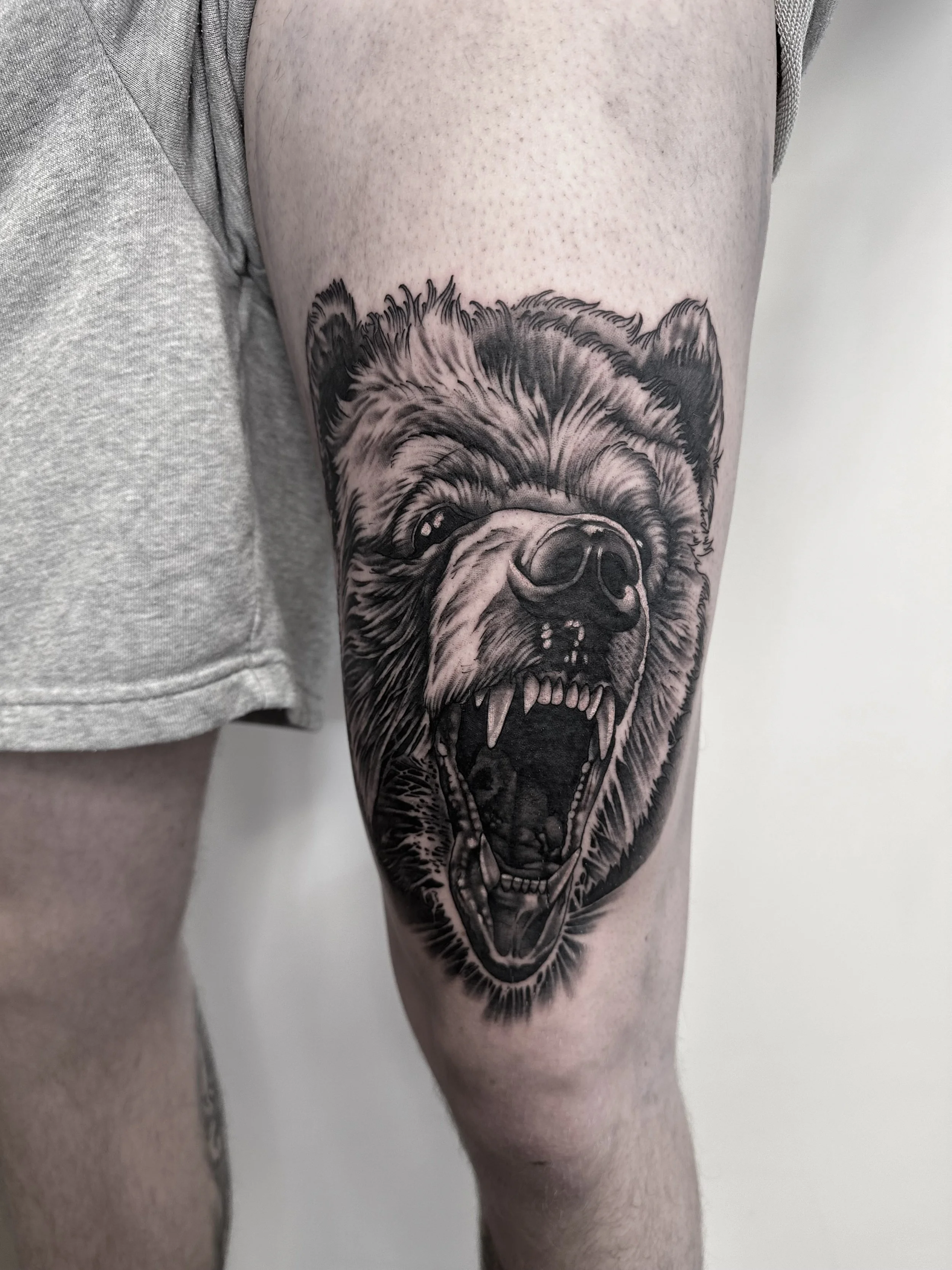 Tattoo eines kämpfenden Bären auf dem Oberschenkel einer Person.