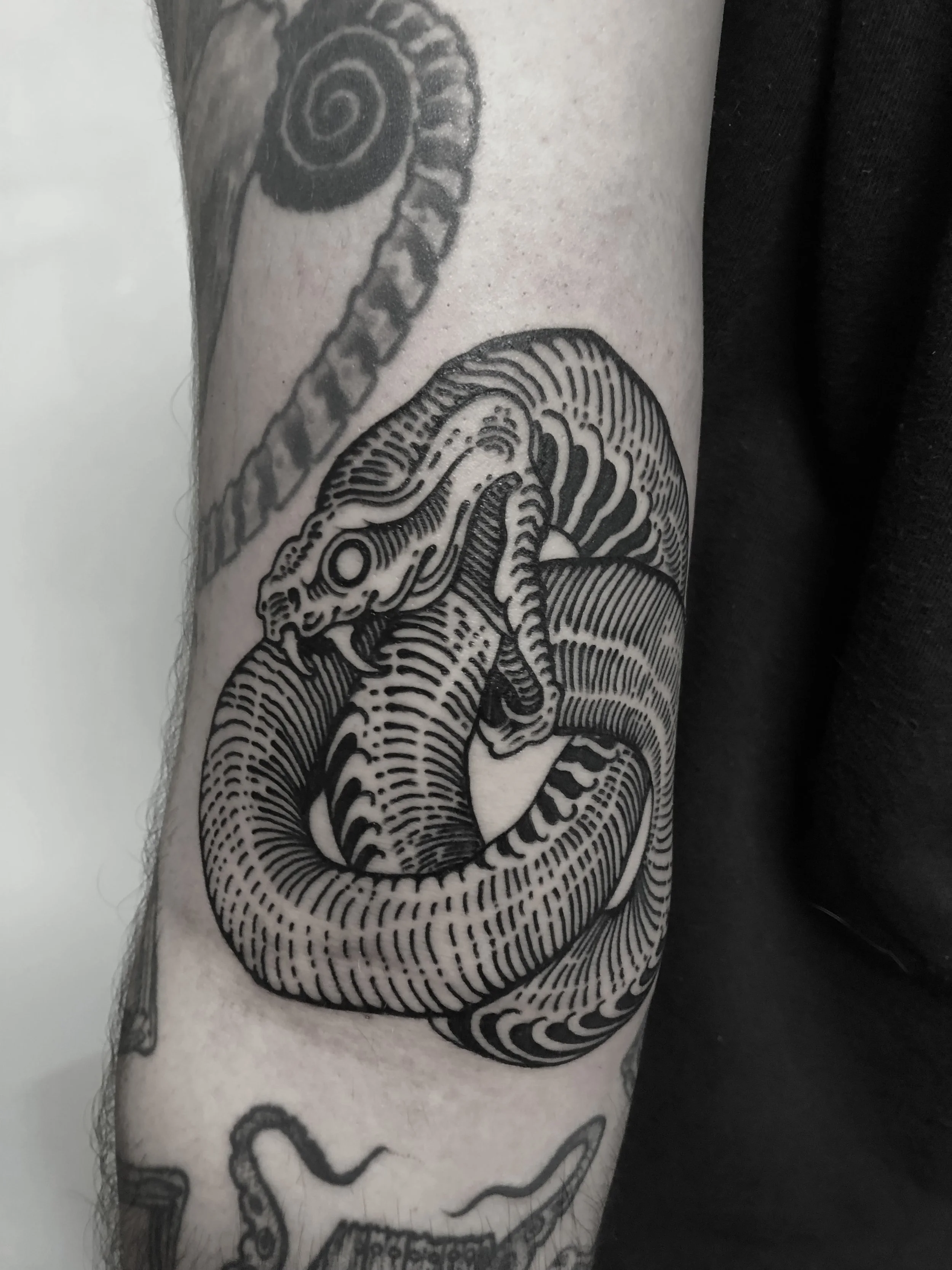 Schwarze Tätowierung eines gekrümmten Dinosauriers auf einem Oberarm, mit detaillierten Schuppen und Linien.