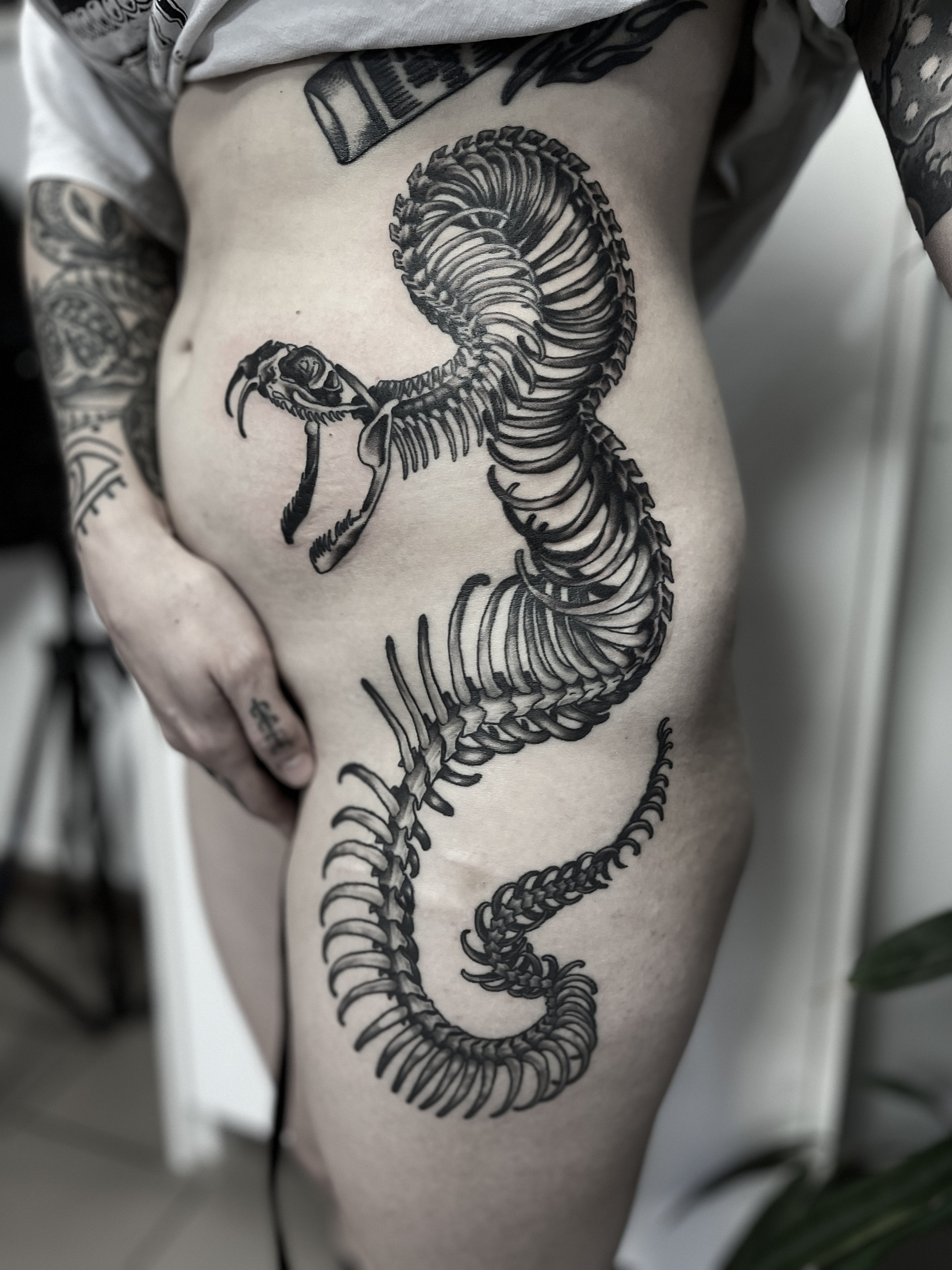 Schwarze Tätowierung eines Skelettersekels auf der Seite eines Menschen.