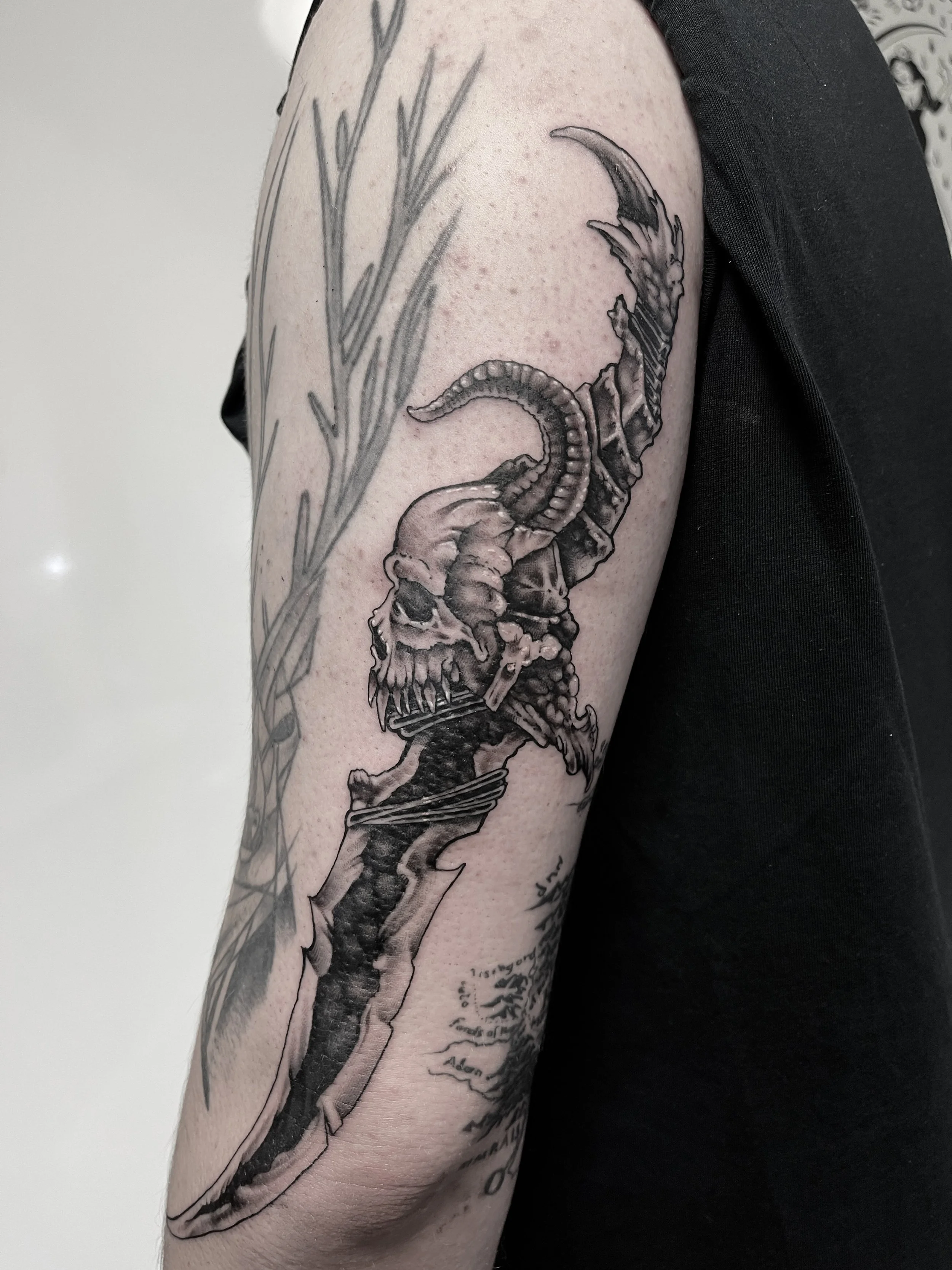 Schwarze und graue Tätowierung eines schädels mit Hörnern, dem Rücken eines Tieres, auf dem Oberarm.