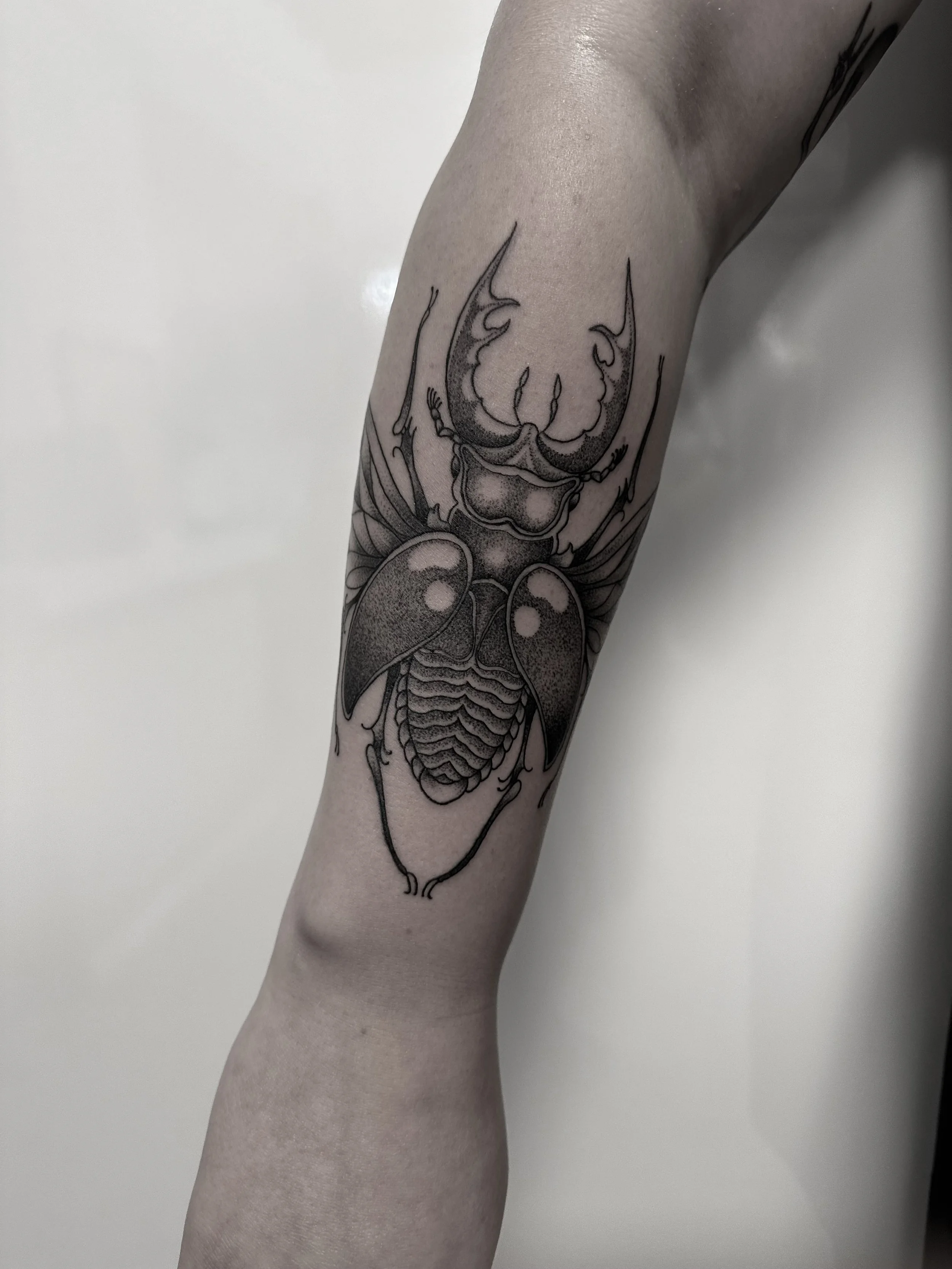 Tattoo eines Käfers mit großen Mandibeln, Flügeln und gewölbtem Körper auf einem menschlichen Unterarm.
