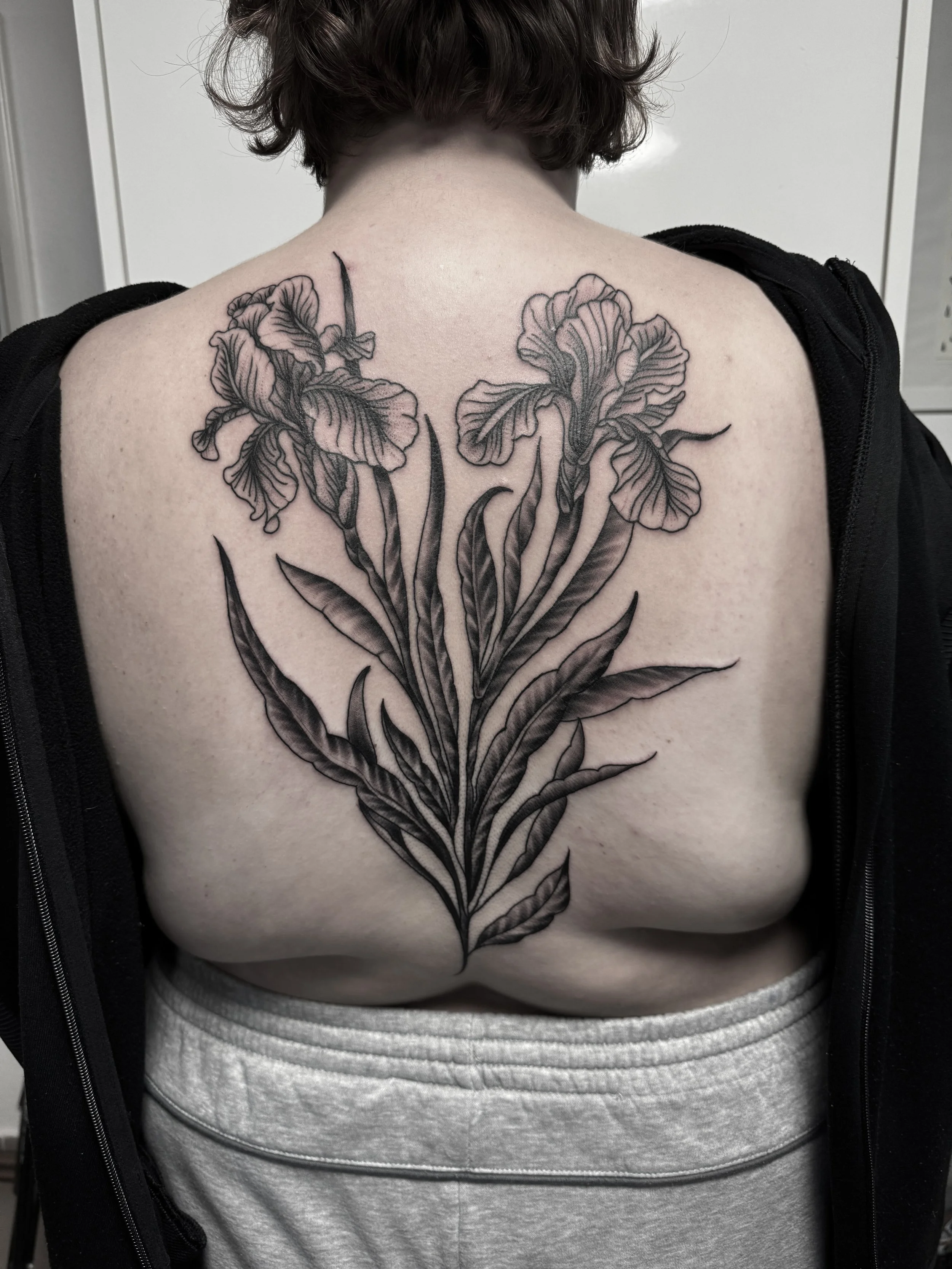 Tattoo eines Irisblumenmotivs auf dem Rücken einer Person, schwarz-weiße, detaillierte Linie, große Blüten mit fließendem Blattwerk.