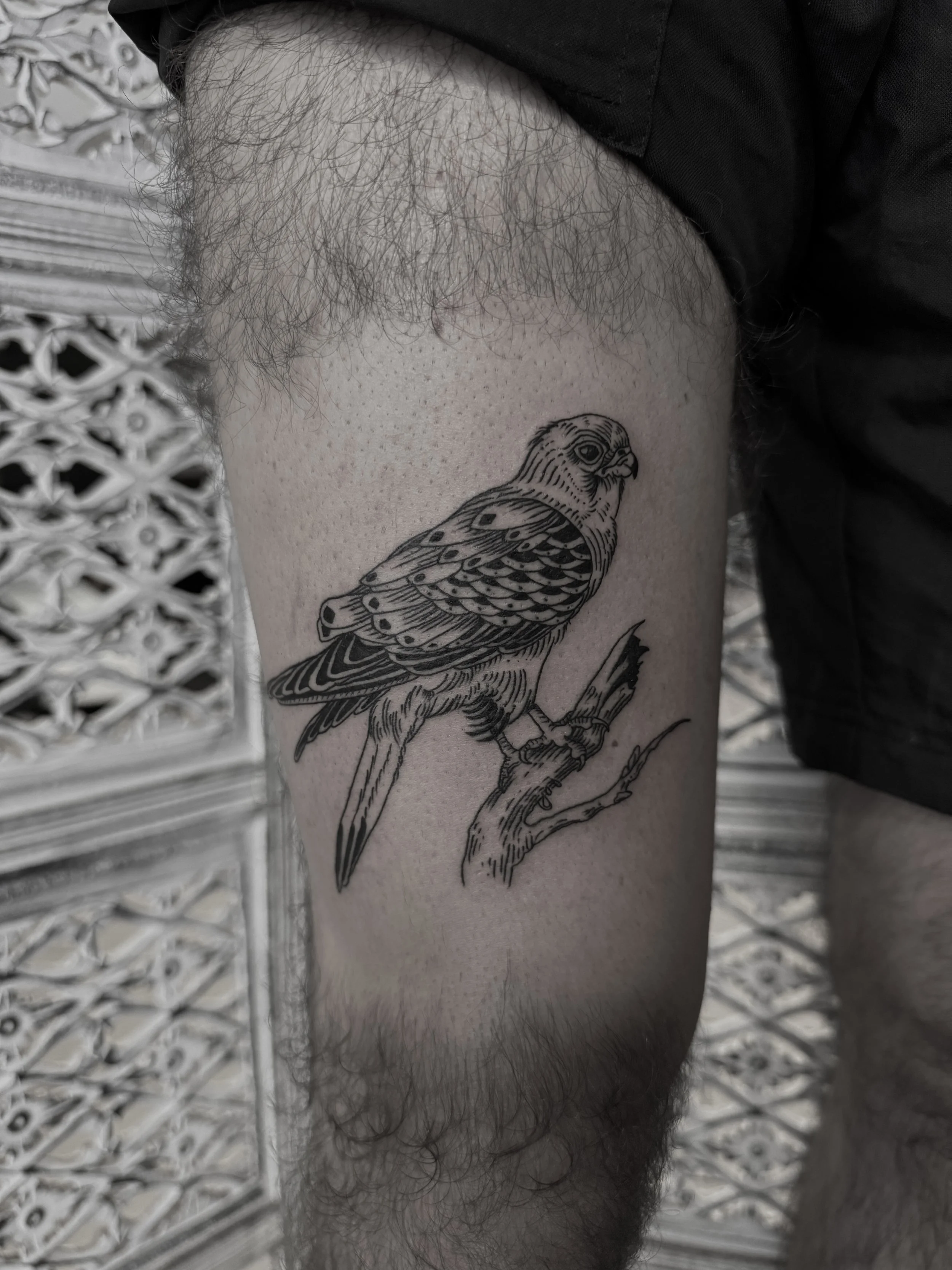 Schwarz-weiße Tätowierung eines Vogels, der auf einem Zweig sitzt.