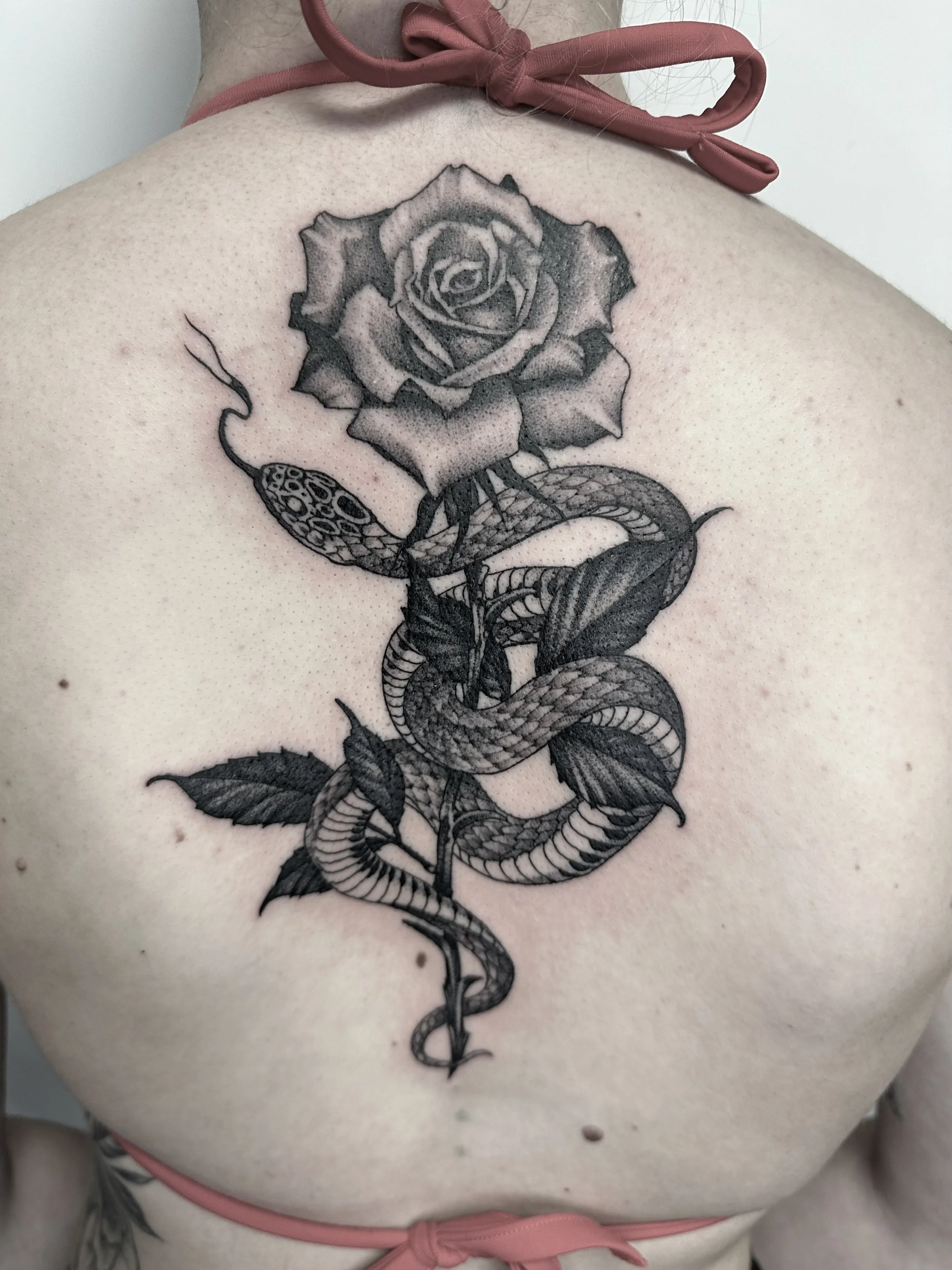 Schwarz-weiß Tattoo auf der Schulter mit einer Rose, einer Schlange und einem Ei. Die Rose ist oben, die Schlange ist in der Mitte, und das Ei liegt links oben.