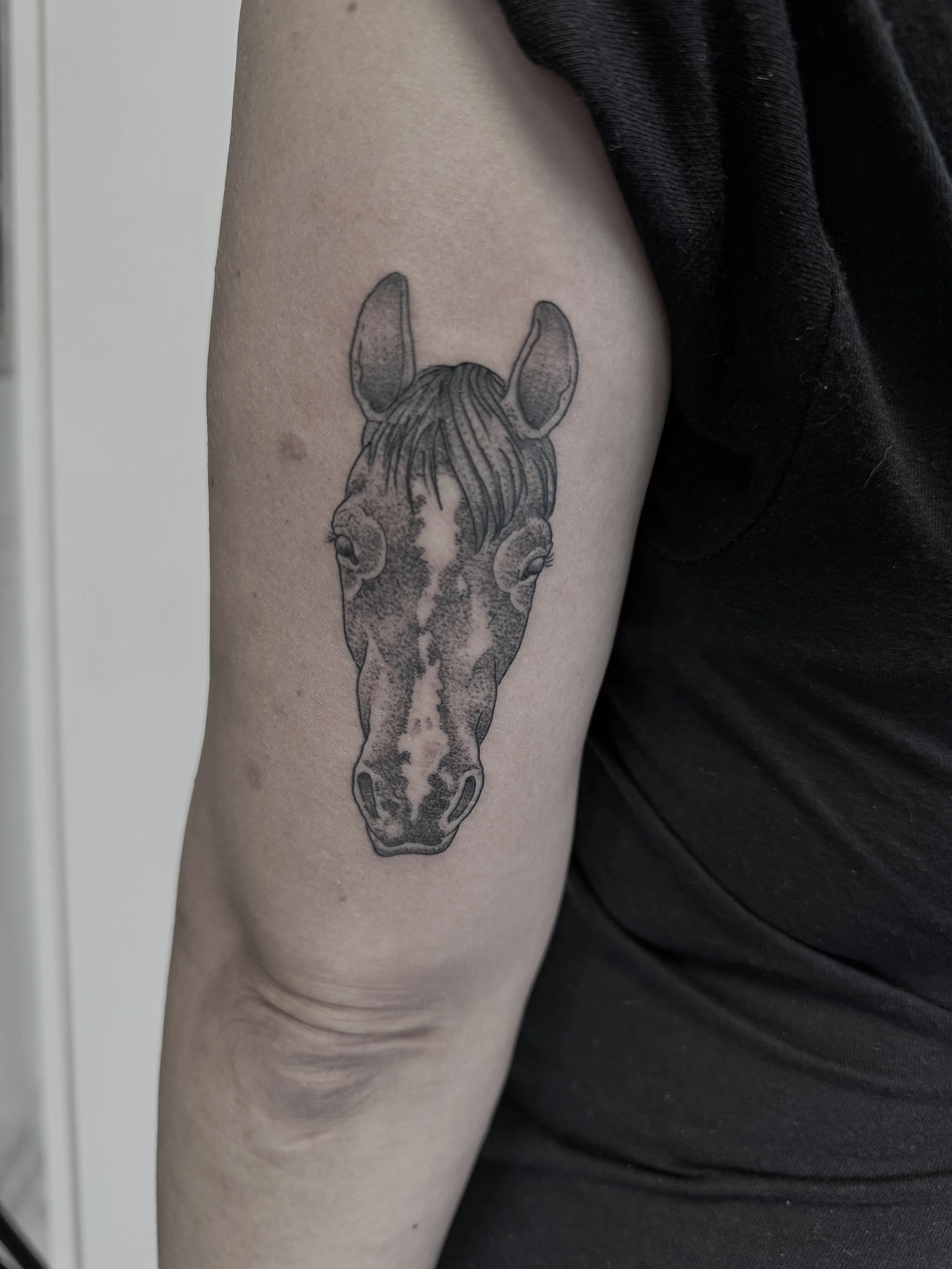 Tattoo eines Pferdekopfes auf dem Oberarm, schwarz-weiße Linienzeichnung mit Schattierungen.