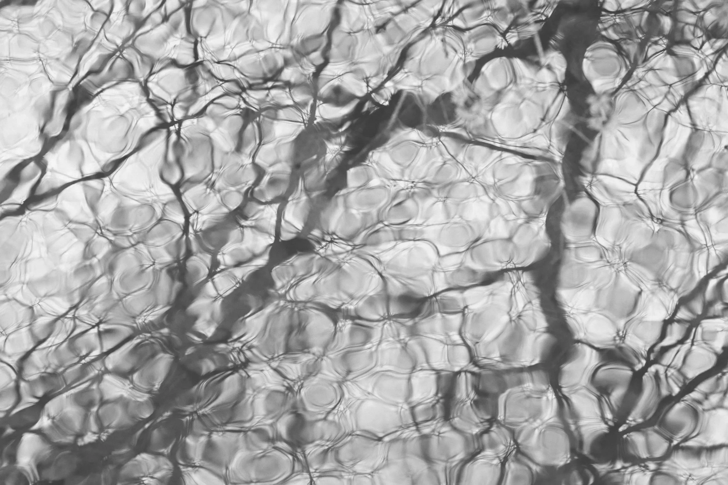 Close-up of tree branches reflected on rippling water, black and white photography.