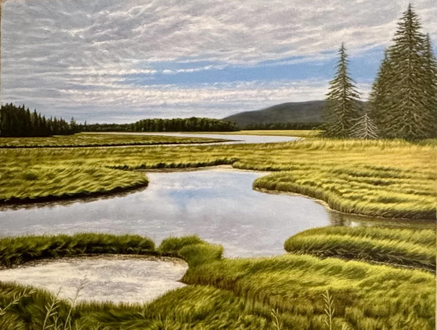Maine Marsh