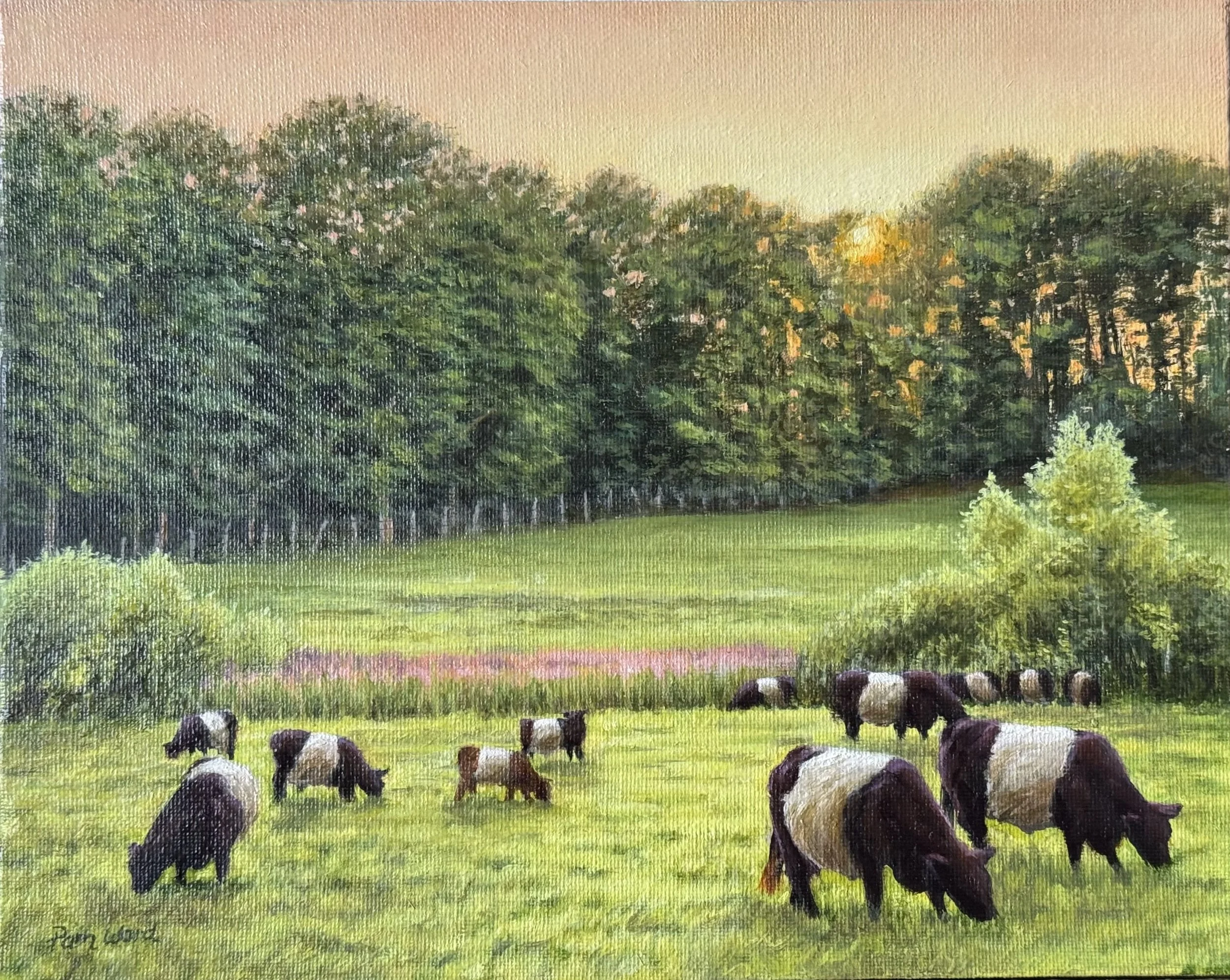 Grazing at Sunset