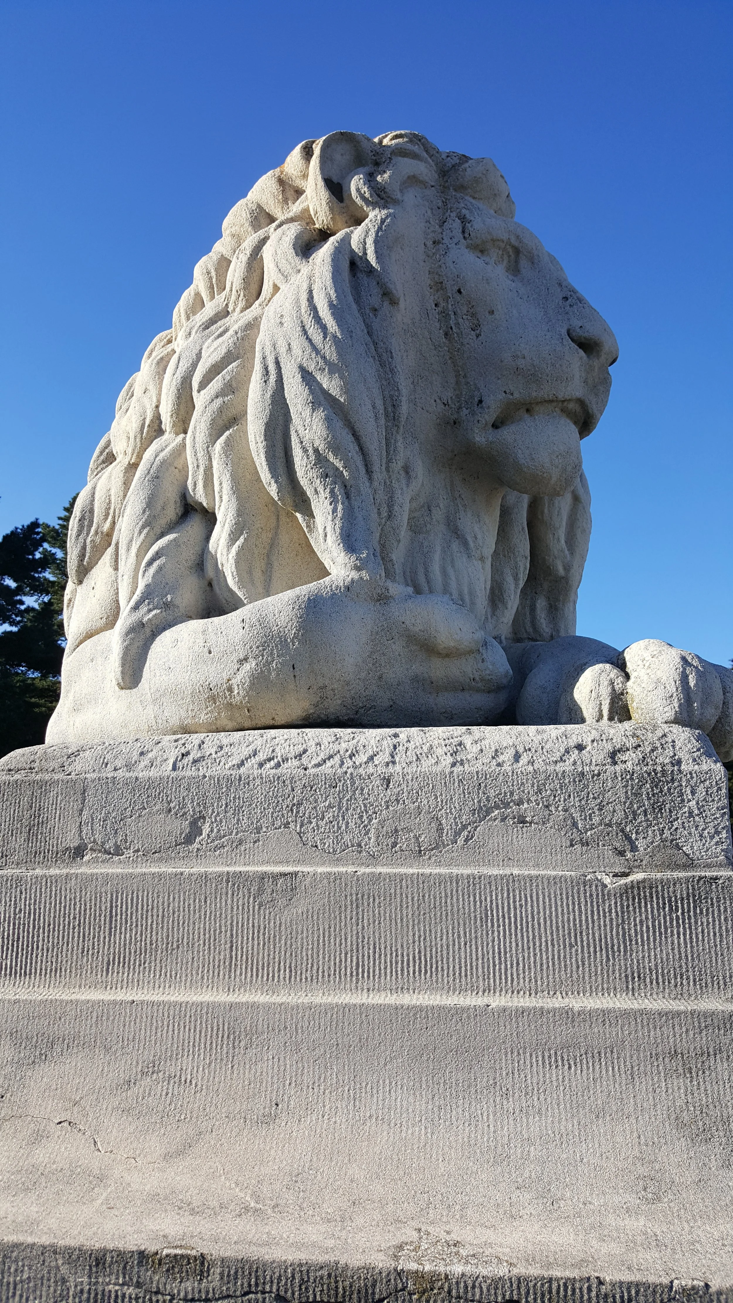Stone lion sculpture in profile on a pedestal against a clear blue sky, conveying strength and timeless presence.