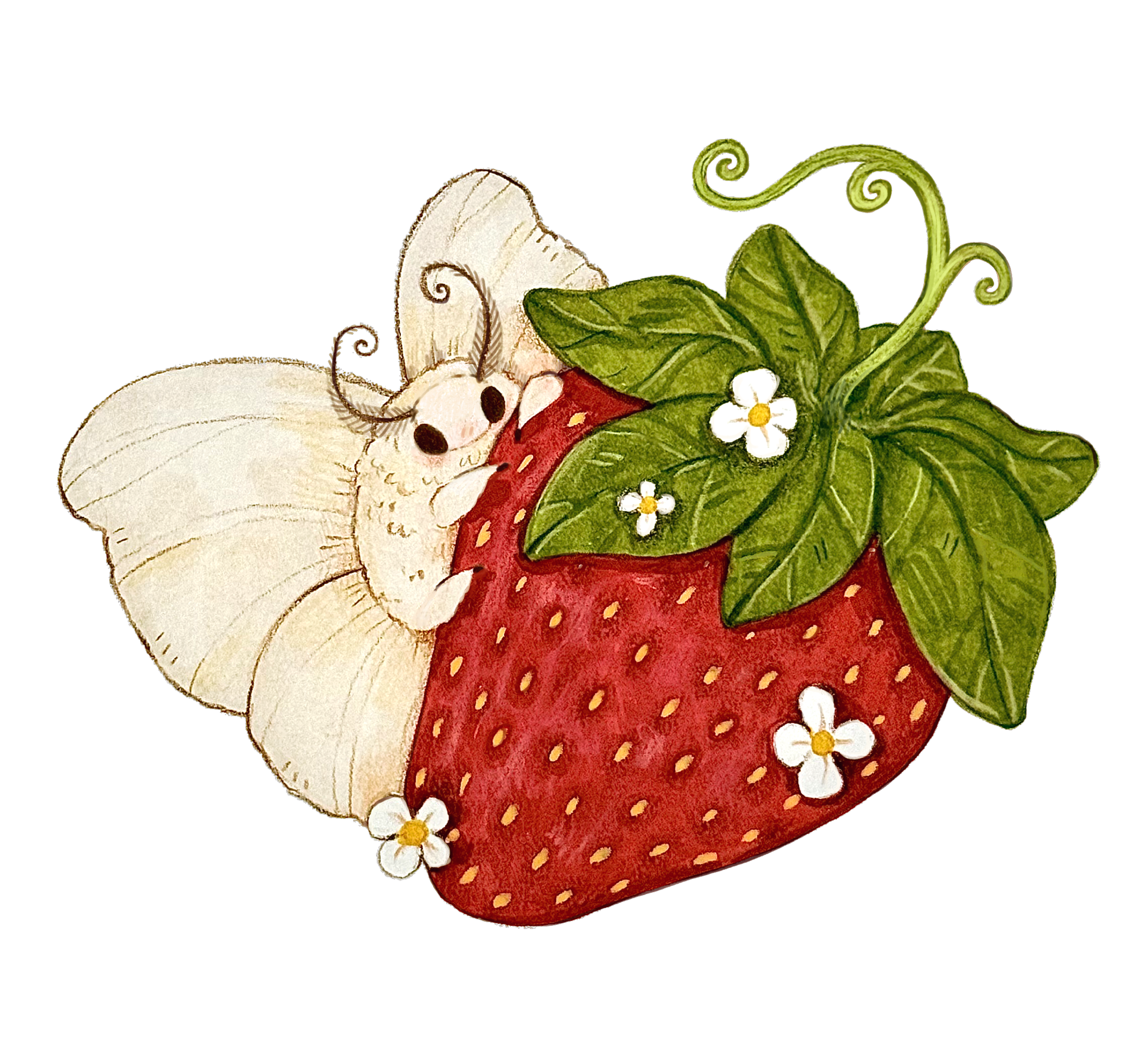A cute illustration of a white moth with large wings and black eyes hugging a large red strawberry with green leaves and small white flowers.