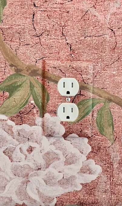 Should Switch Plates Match Wallpaper? Pros and Cons