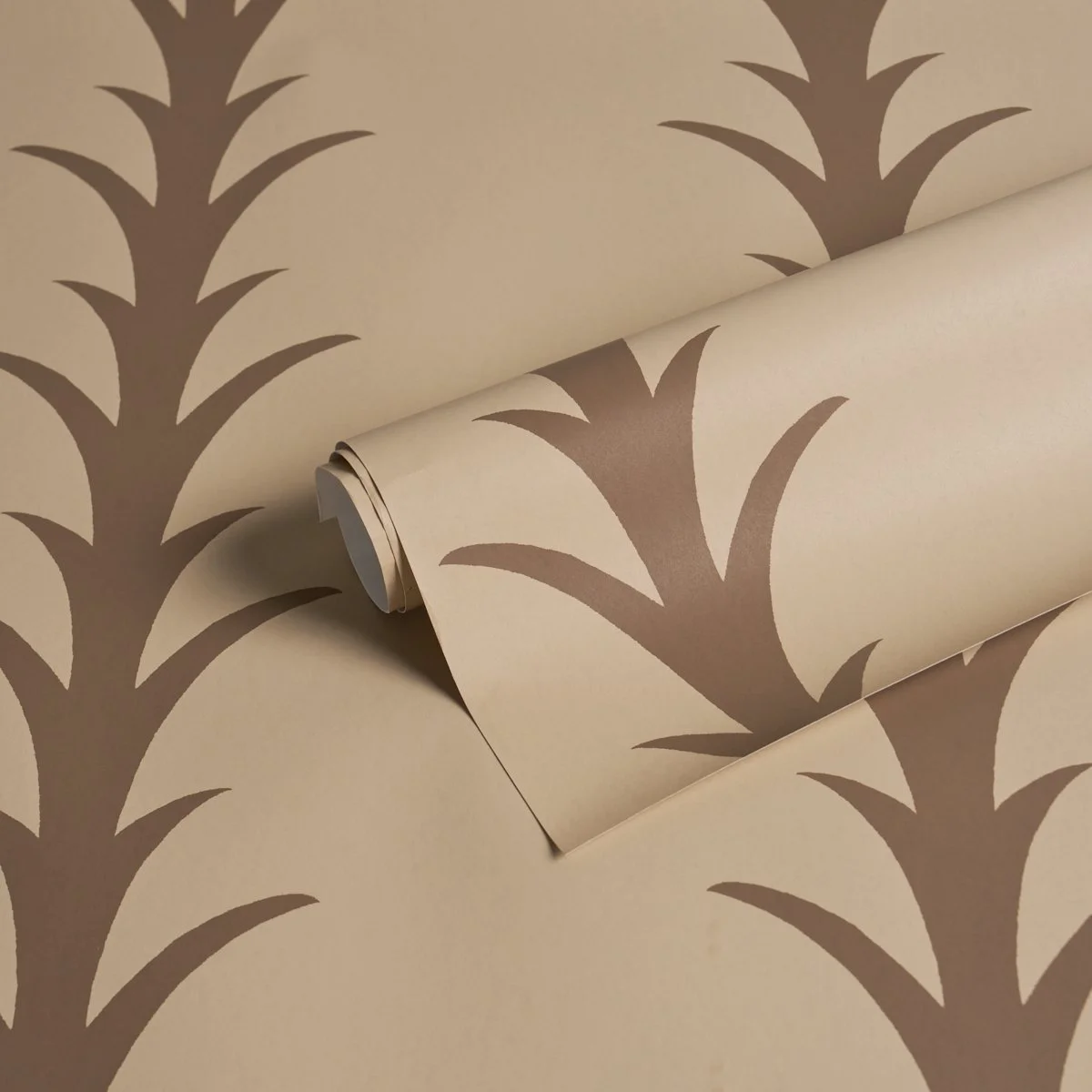 Schumacher Acanthus Stripe in Brown on Beige, rolled to show color and paper texture