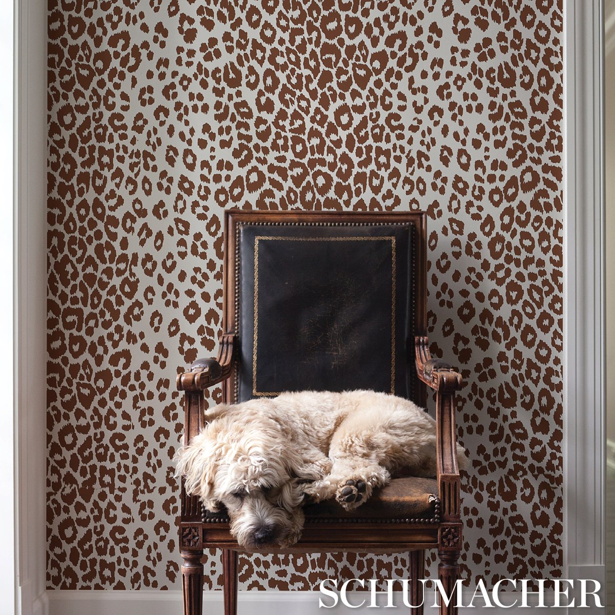 Schumacher Iconic Leopard Brown wallpaper behind a carved wood armchair