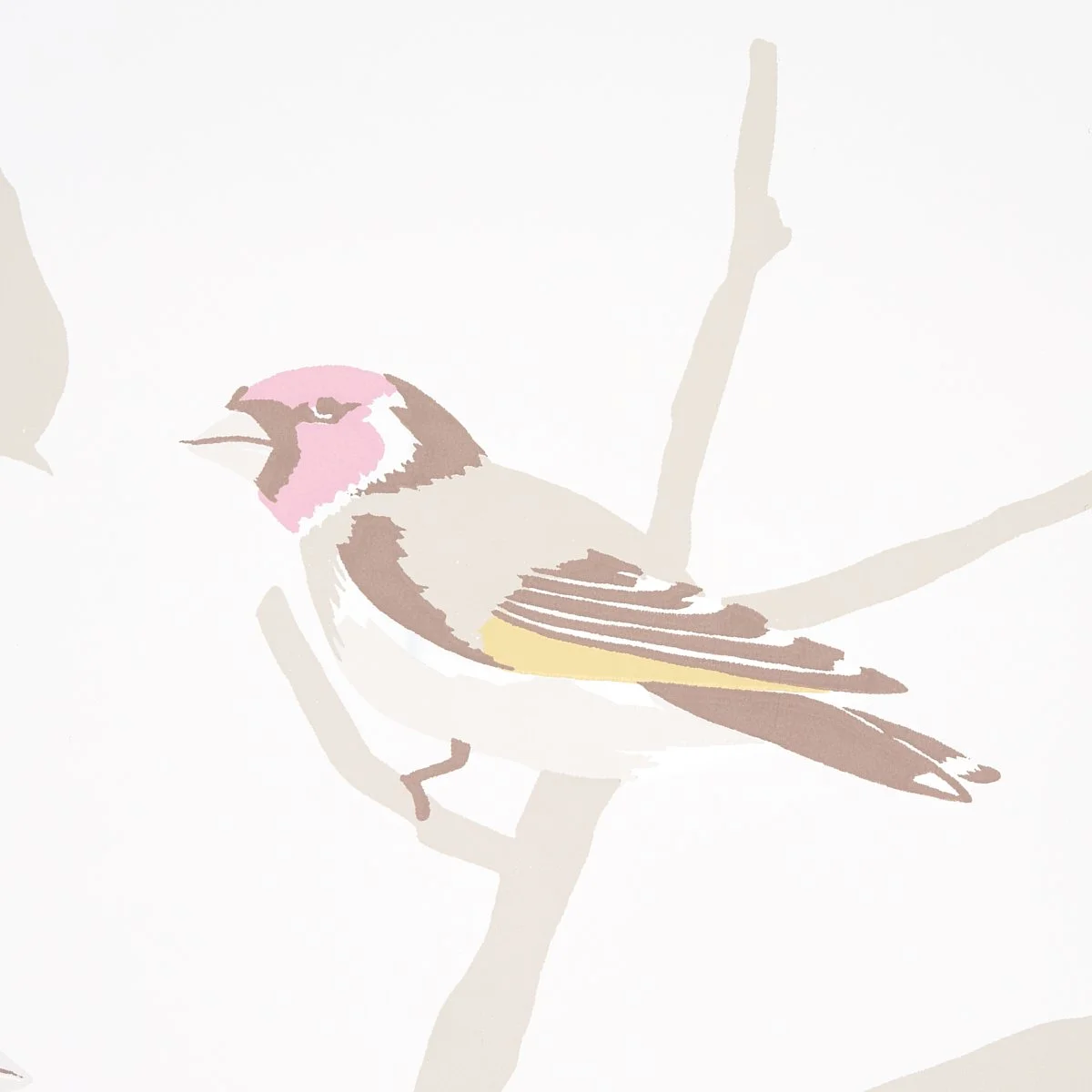 Close-up of a songbird on Schumacher A-Twitter Soft Multi wallpaper