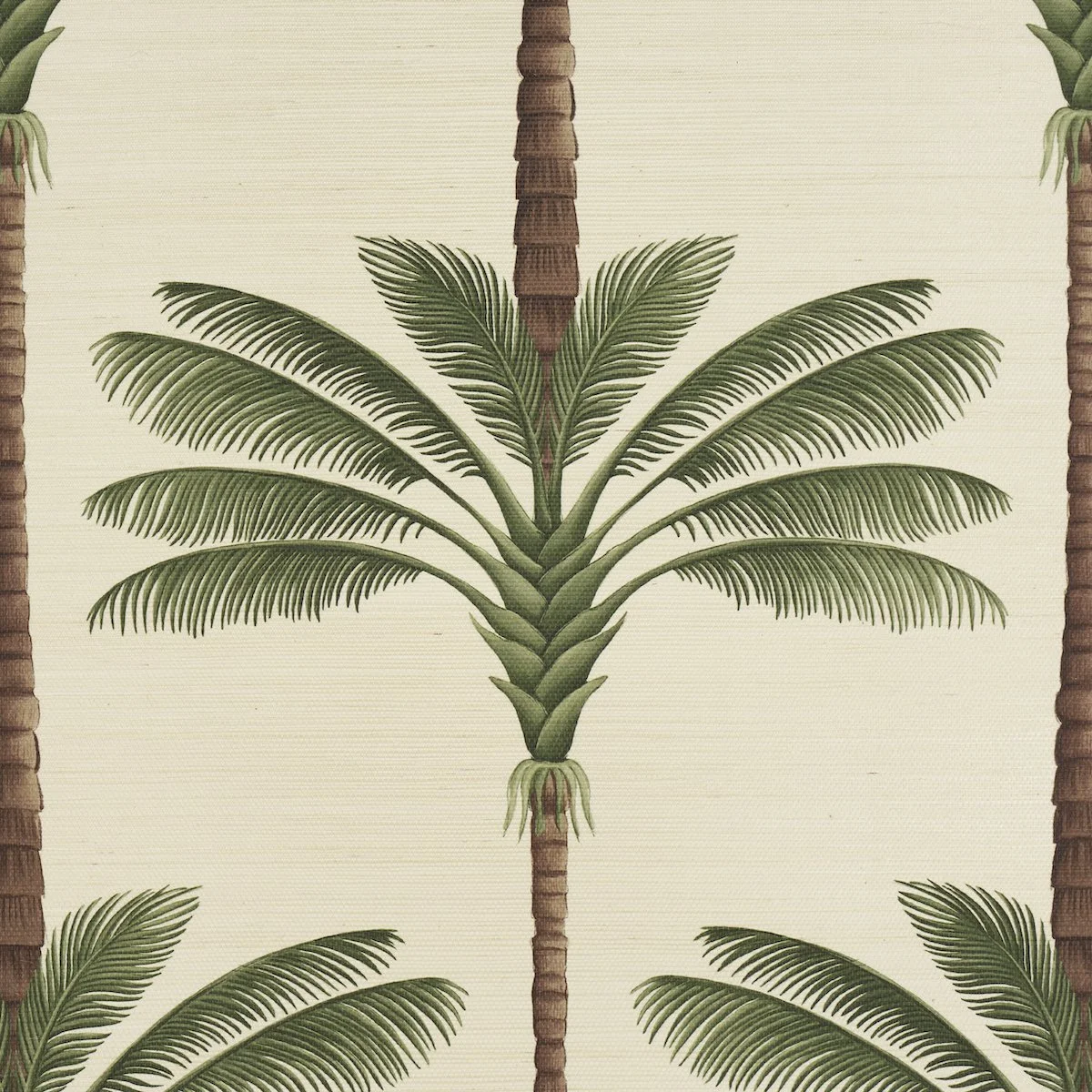 Schumacher A Palm Is A Palm Sisal in Daylight Evergreen, SKU 5016961