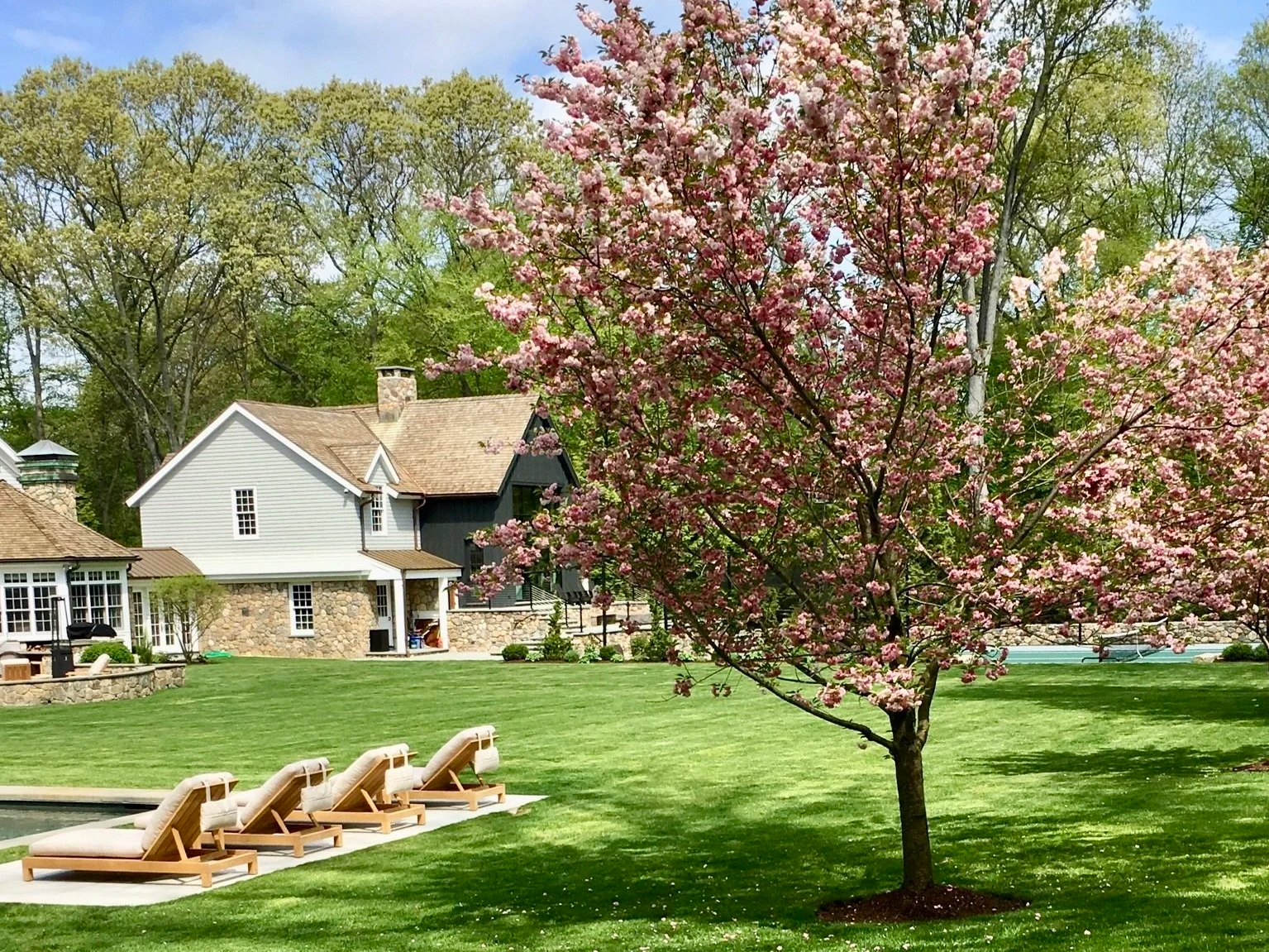 Good Gardens - Pool design in Darien