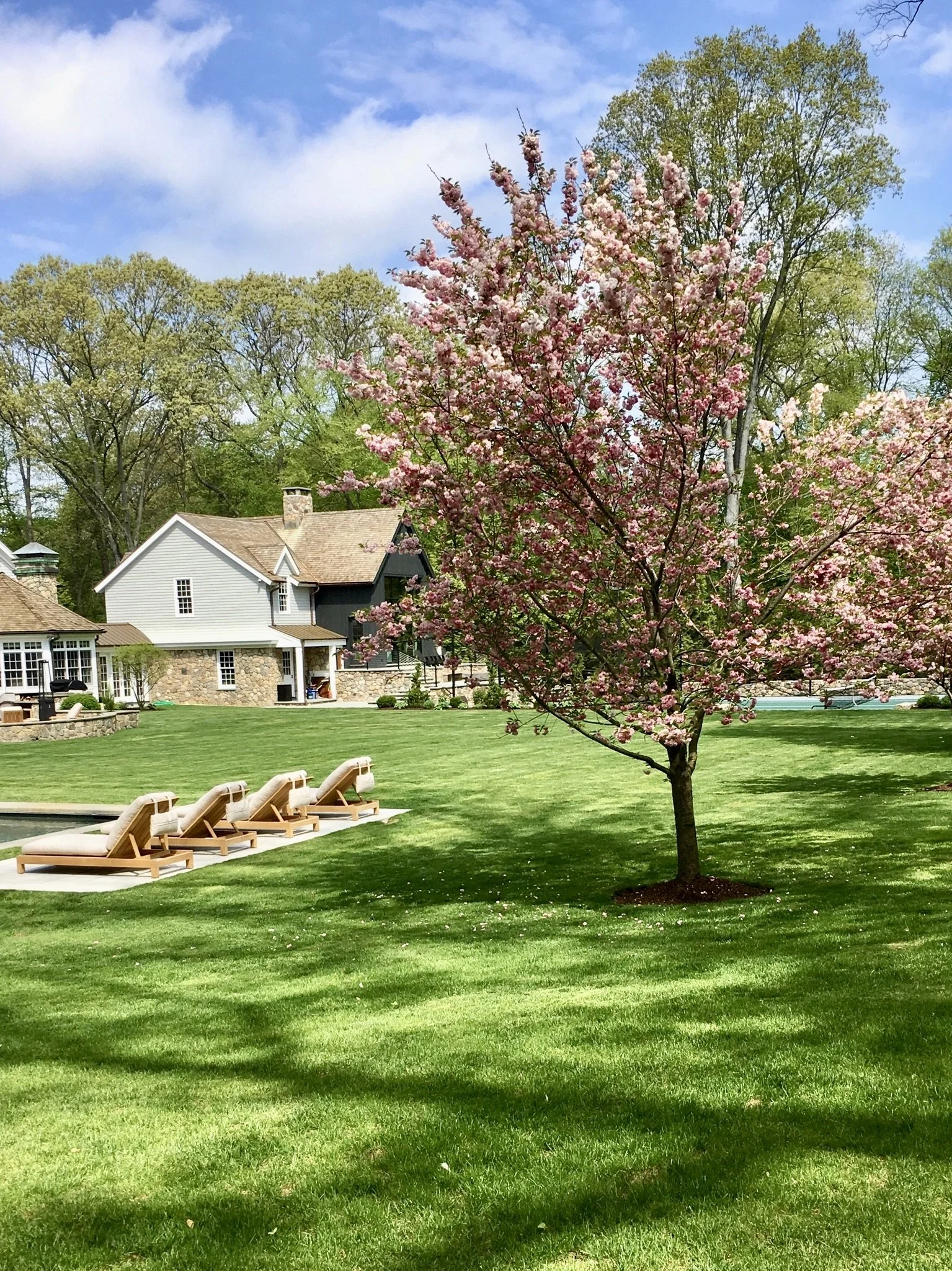 Pool & Landscape Design Darien_2