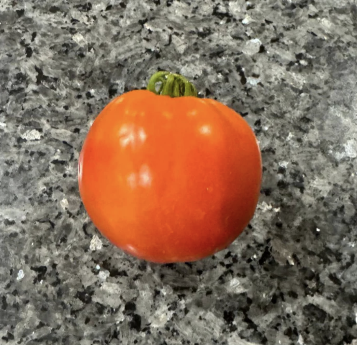 Rutgers Tomatoes 1 lbs