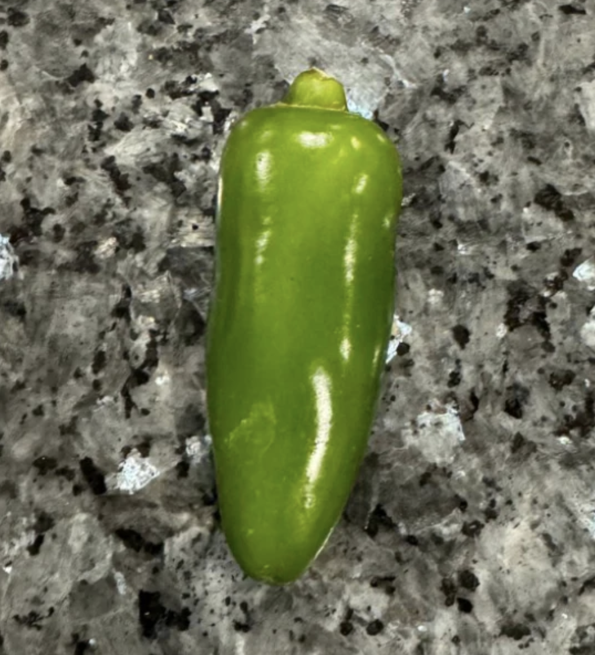 Organic Jalapeño 1/4 lbs