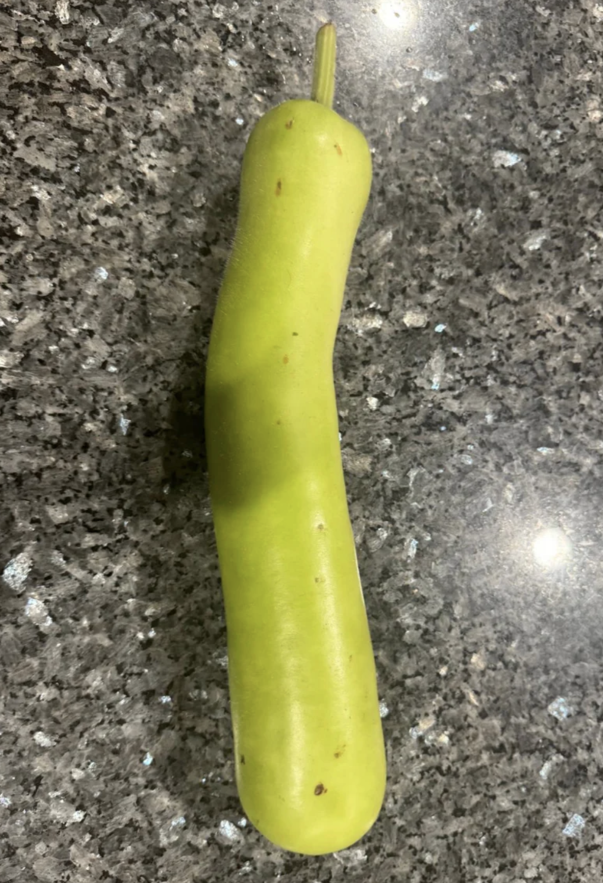 Organic Bottle Gourd (Lauki) 2 lbs