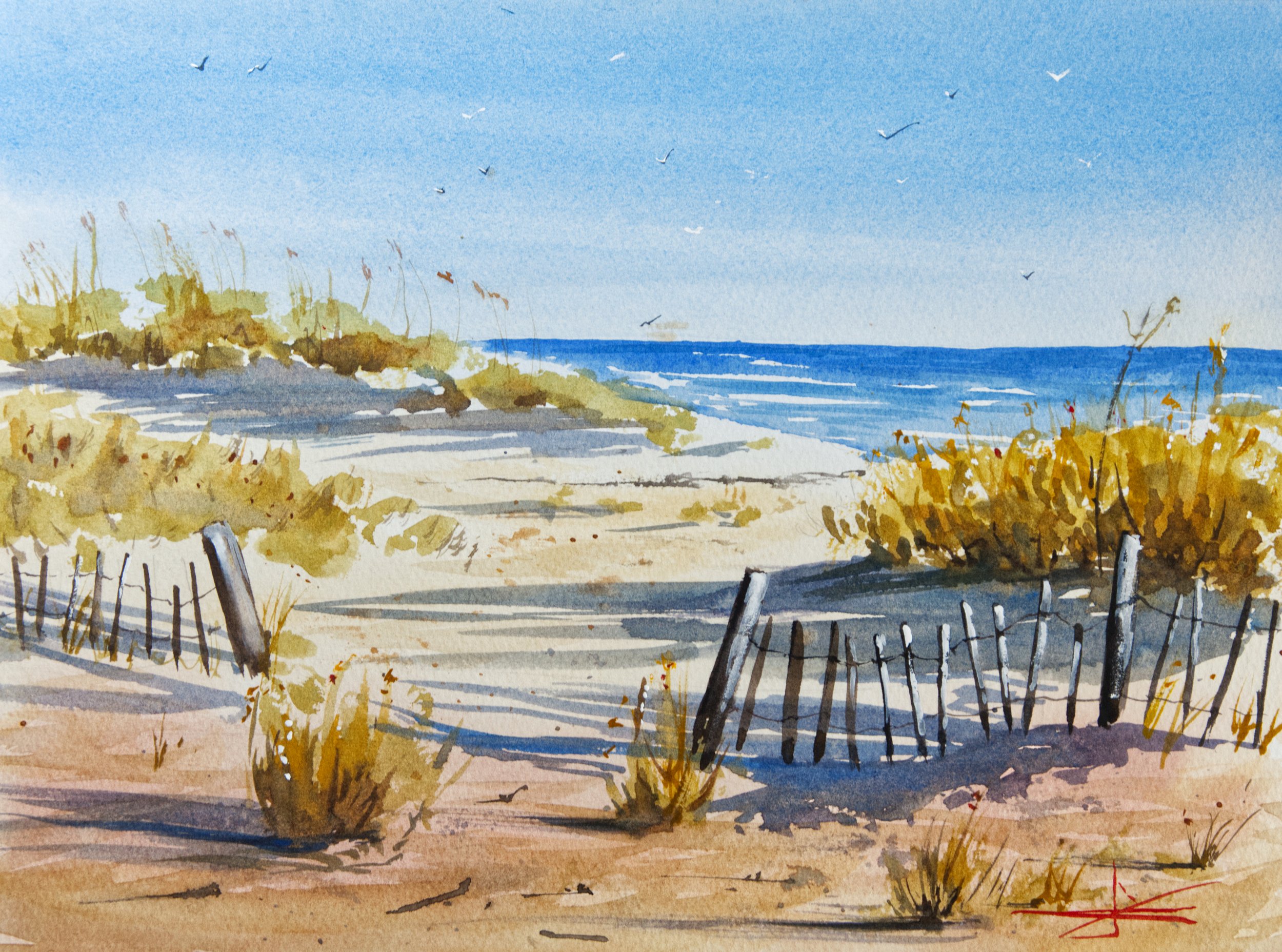 Dunes des landes.jpg