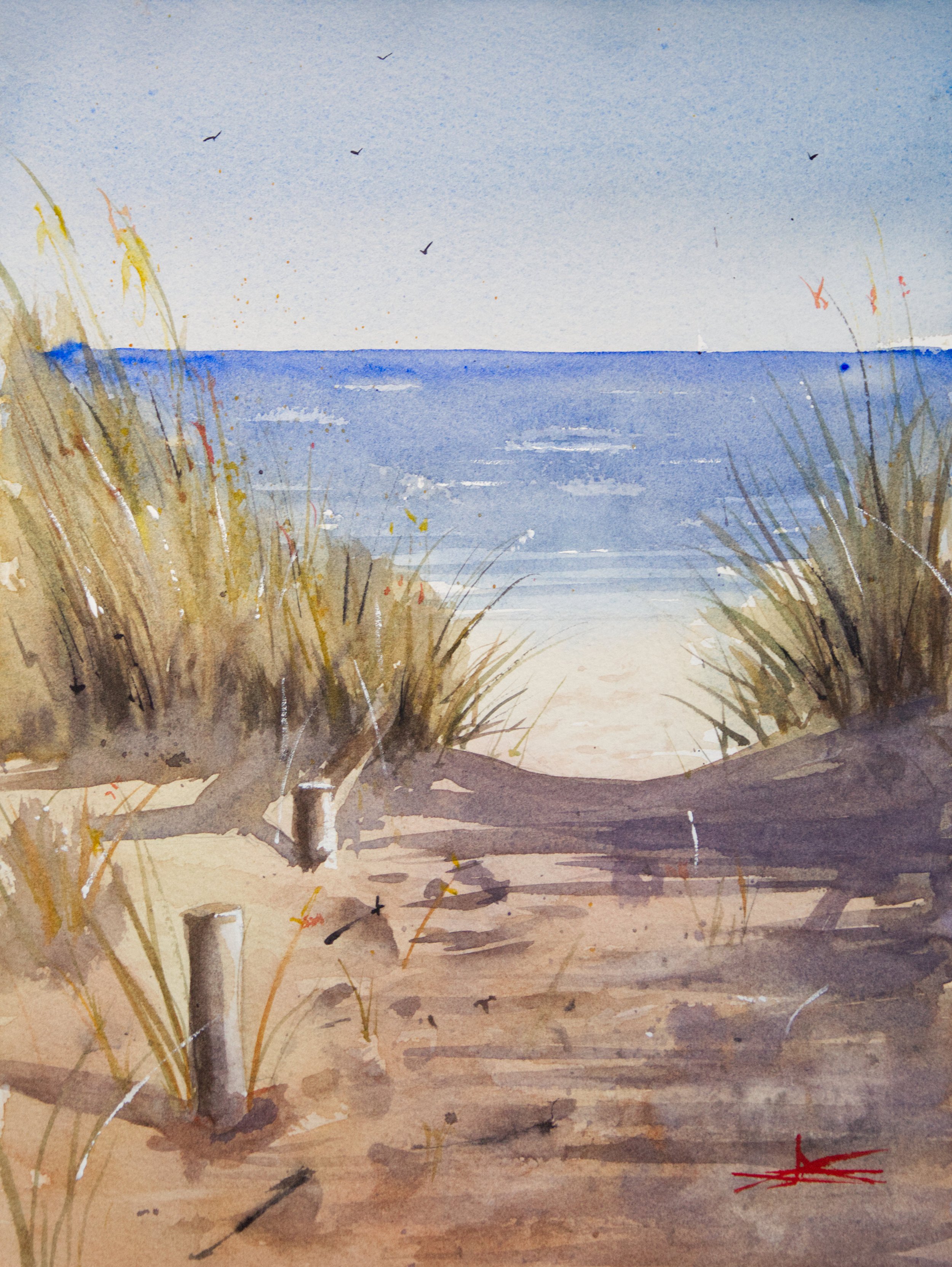 Dunes des landes III.jpg