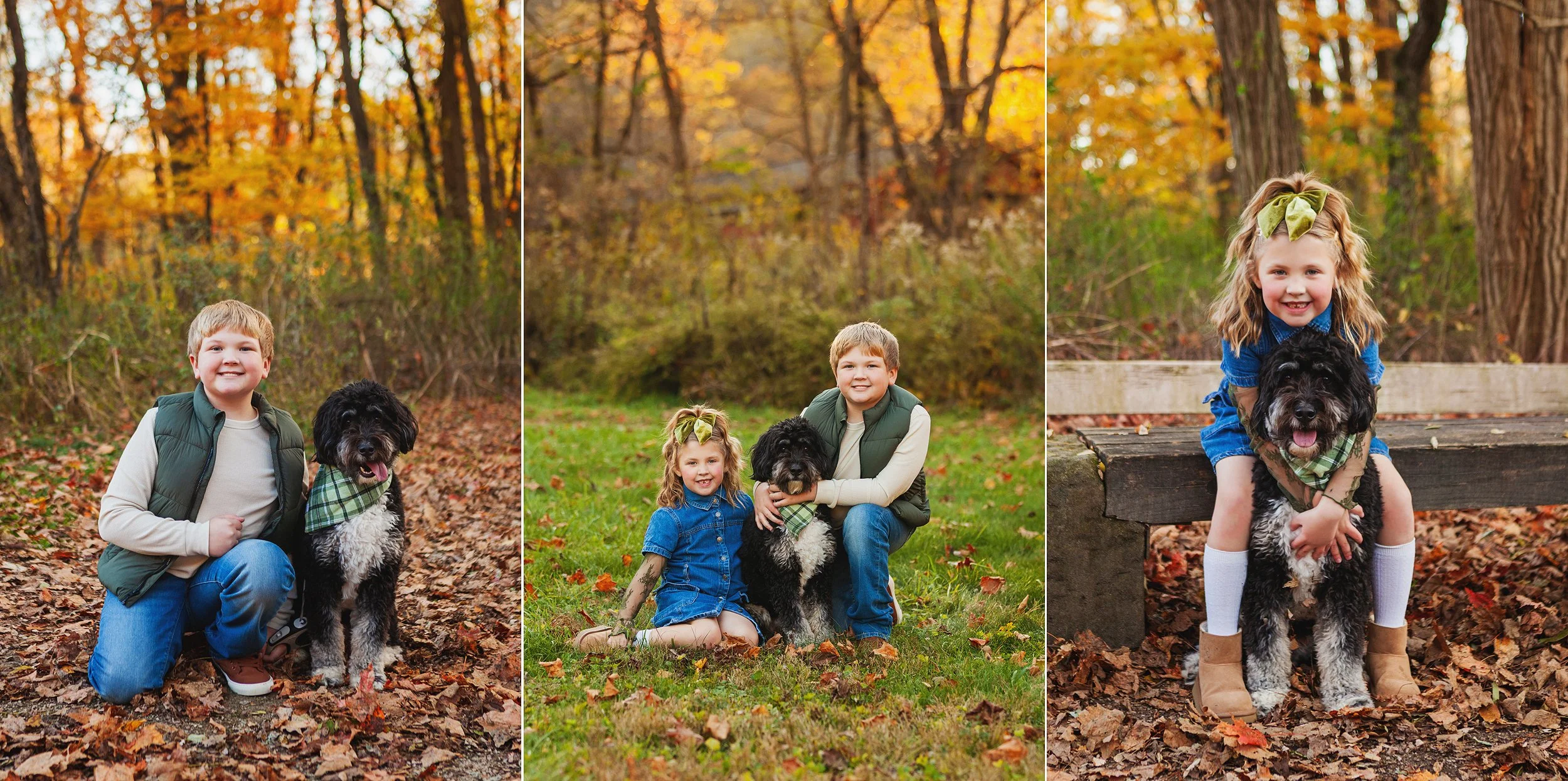 rother and sister sitting with their dog in a grassy clearing during a Northeast Ohio family session