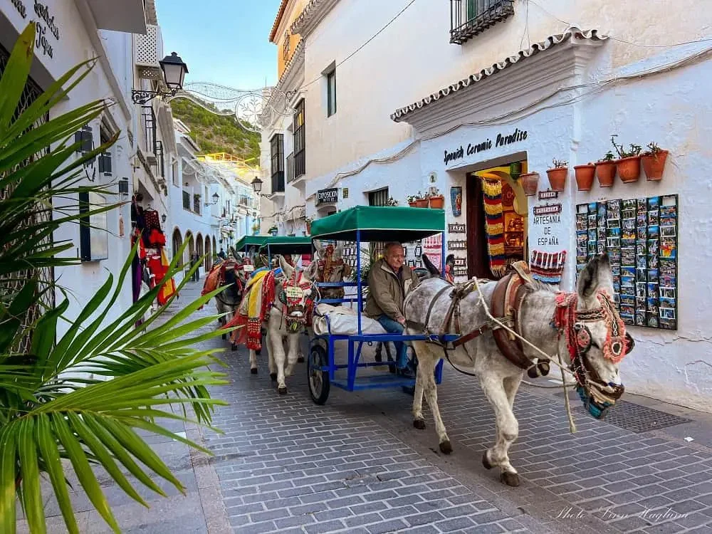Donkey rides in Mijas