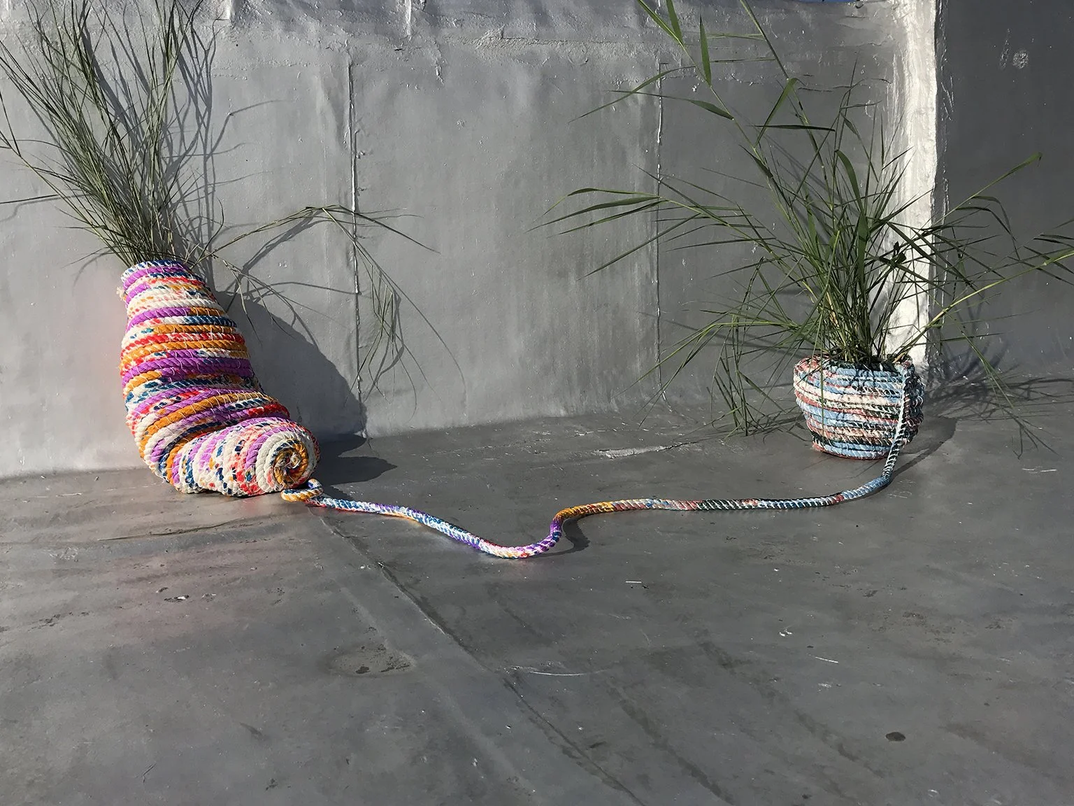 Colorful handmade yarn coiled into a snail shape connected to a basket and a plant in a pot, with another plant behind on a gray concrete surface.