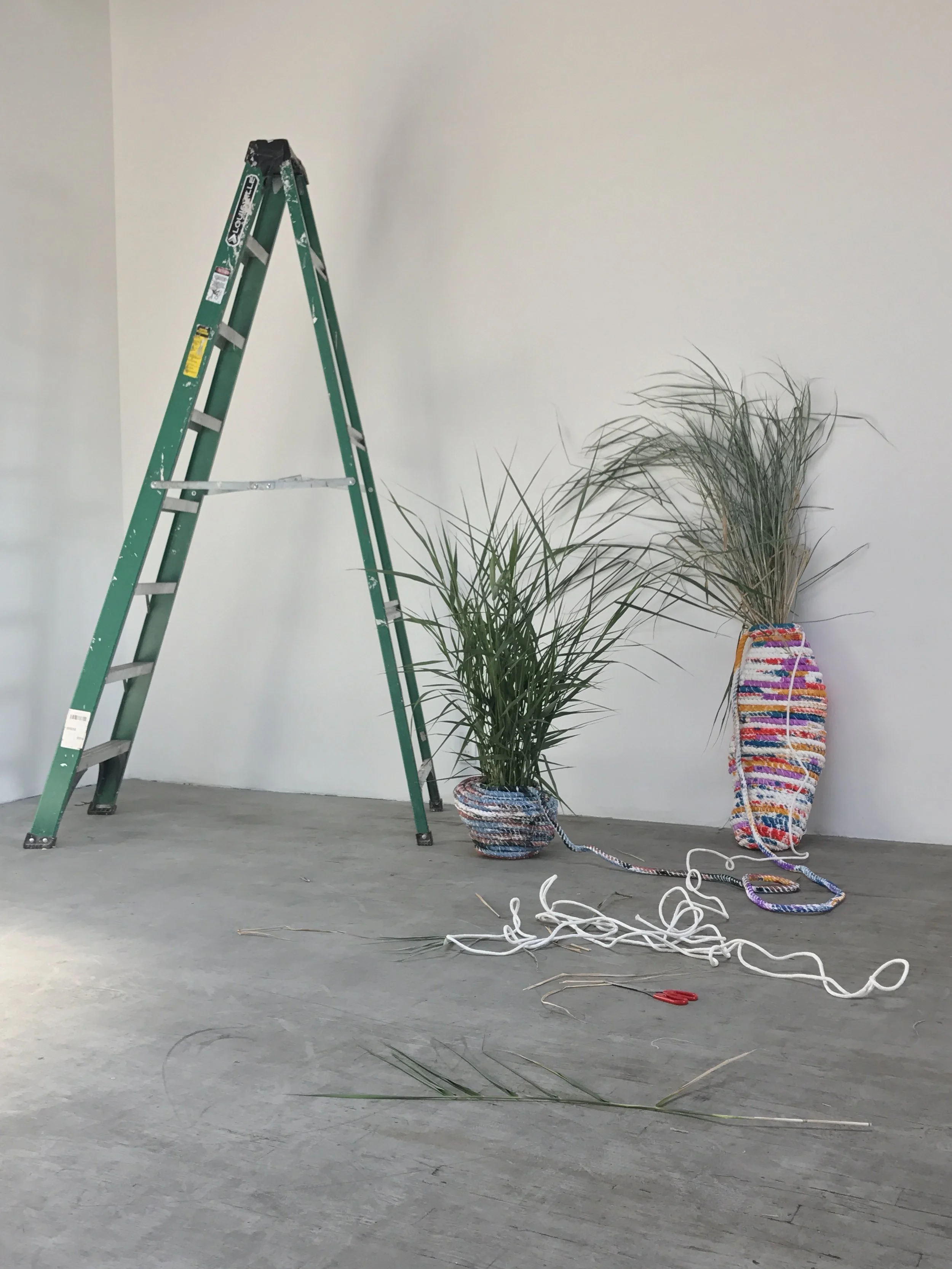 An art installation featuring two large potted grasses wrapped in colorful knitted coverings, a tangled rope on the floor, a pair of scissors, and a green step ladder leaning against a plain white wall.