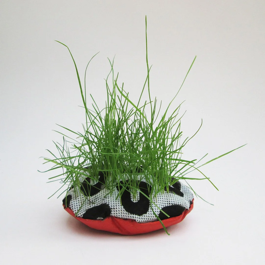 A small potted grass plant in a fabric container with black polka dots and a red base.