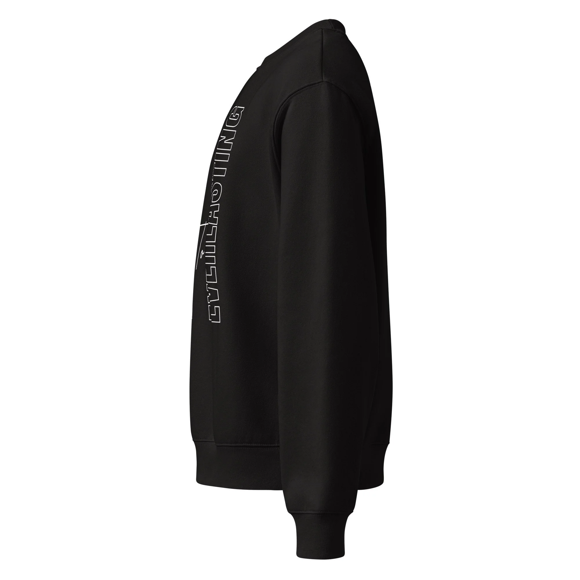 unisex-oversized-heavyweight-sweatshirt-black-left-69eed749cf830.jpg