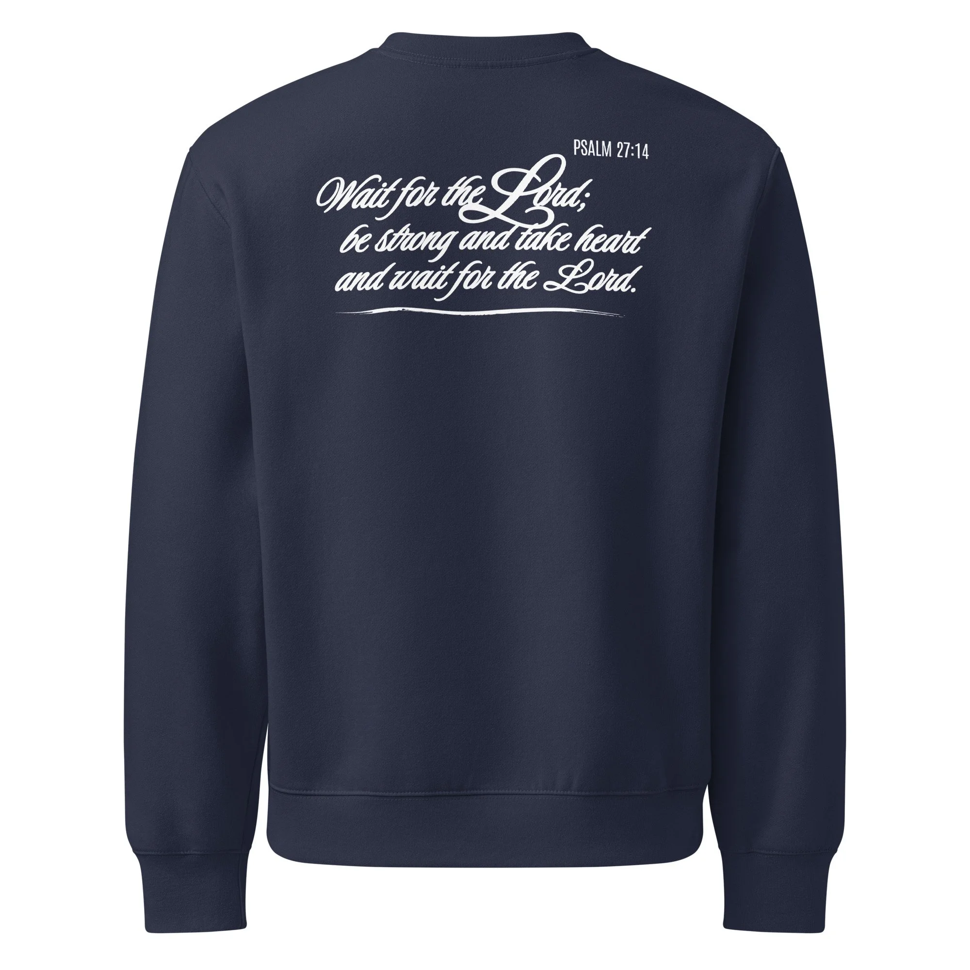 unisex-oversized-heavyweight-sweatshirt-navy-back-69ed317c4e200.jpg