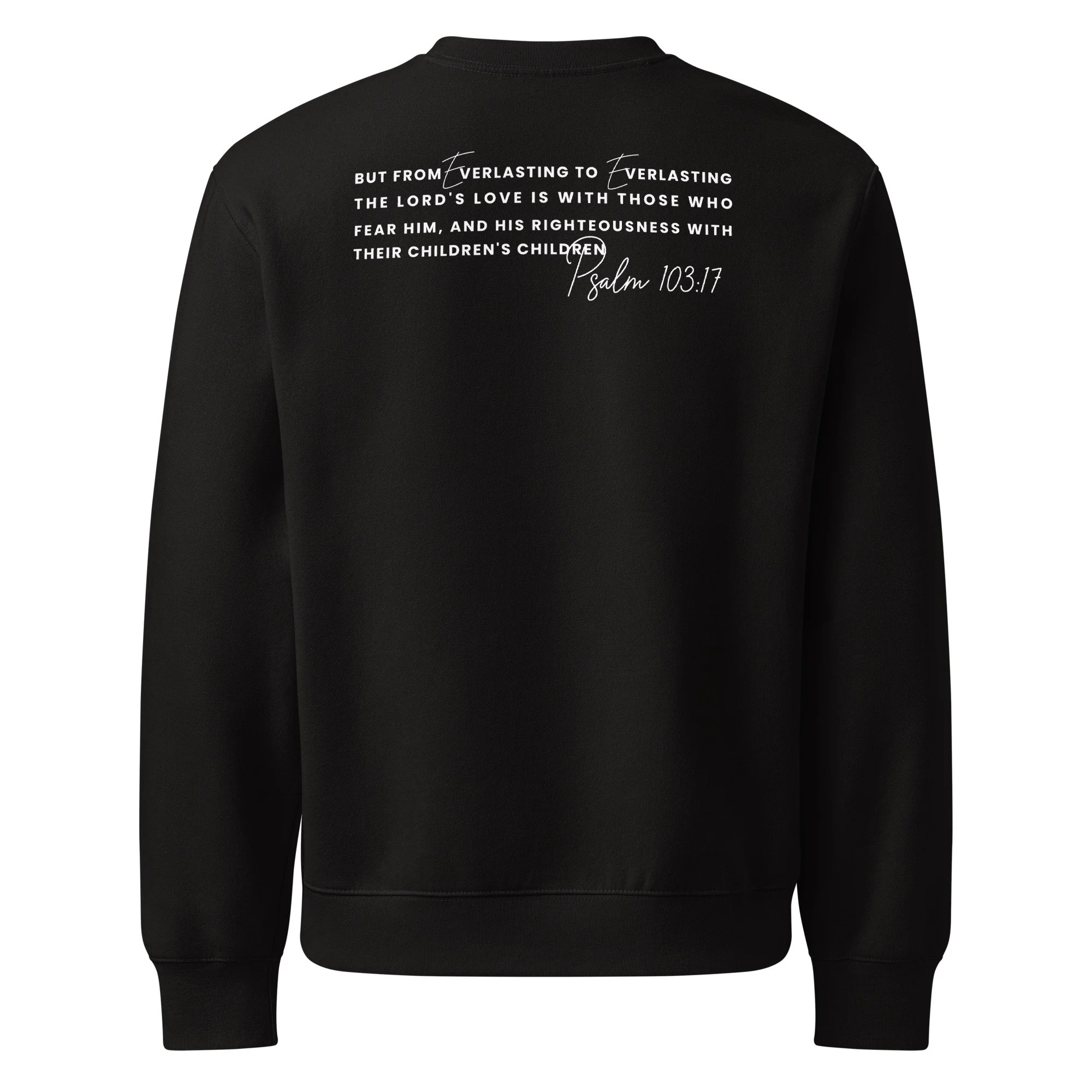 unisex-oversized-heavyweight-sweatshirt-black-back-69eed749cf22f.jpg