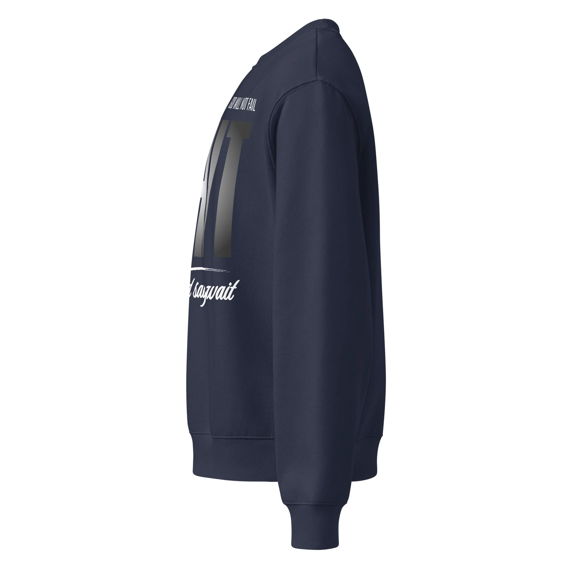 unisex-oversized-heavyweight-sweatshirt-navy-left-69ed317c4e842.jpg